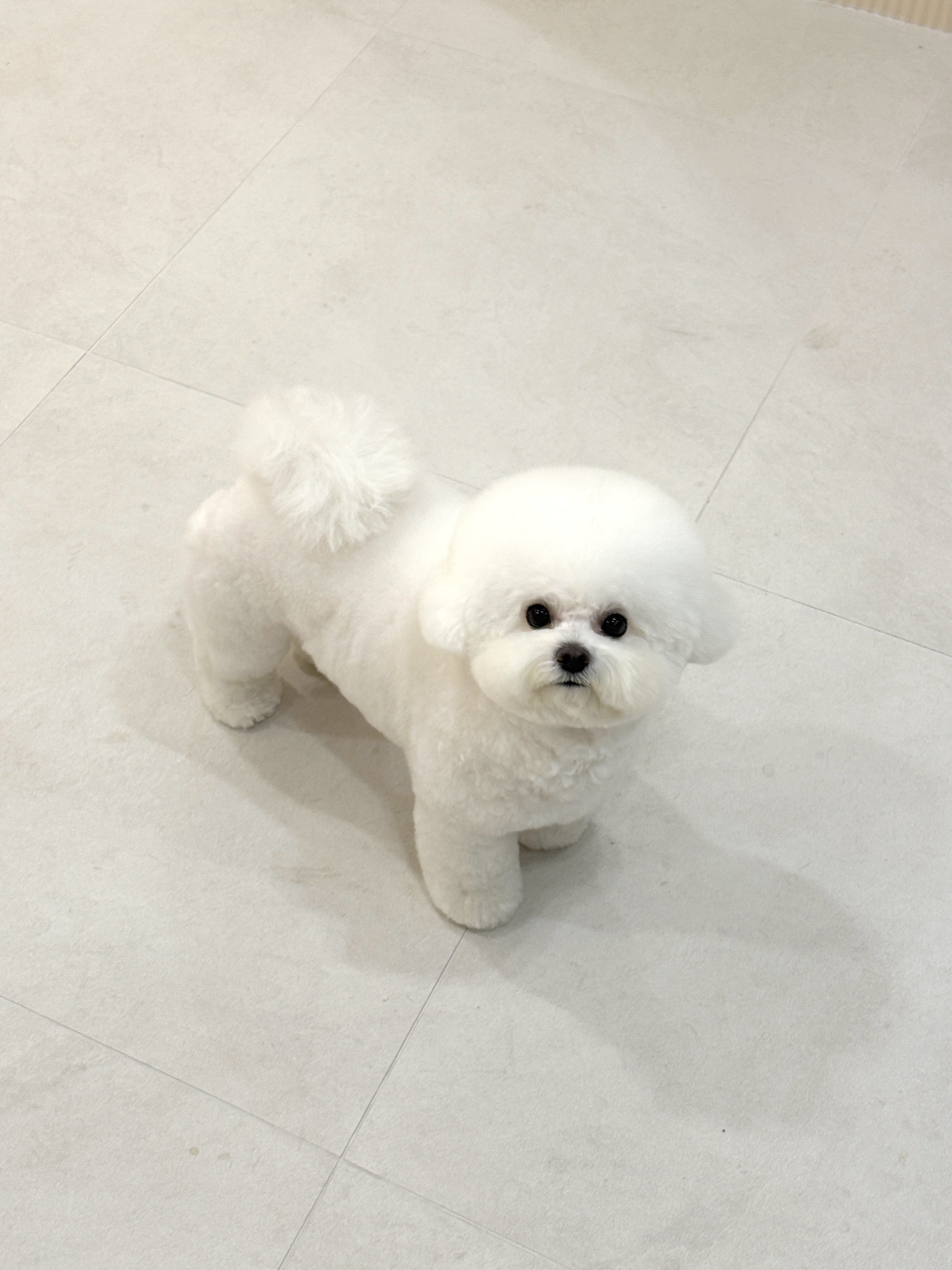 히어로즈 대표 이미지