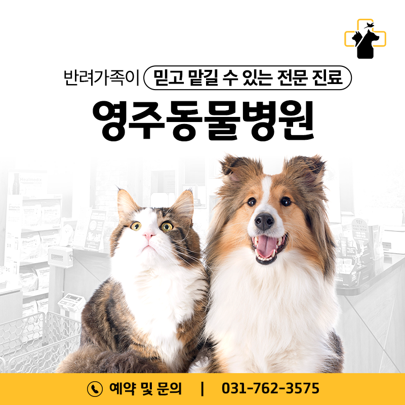 영주동물병원 대표 이미지