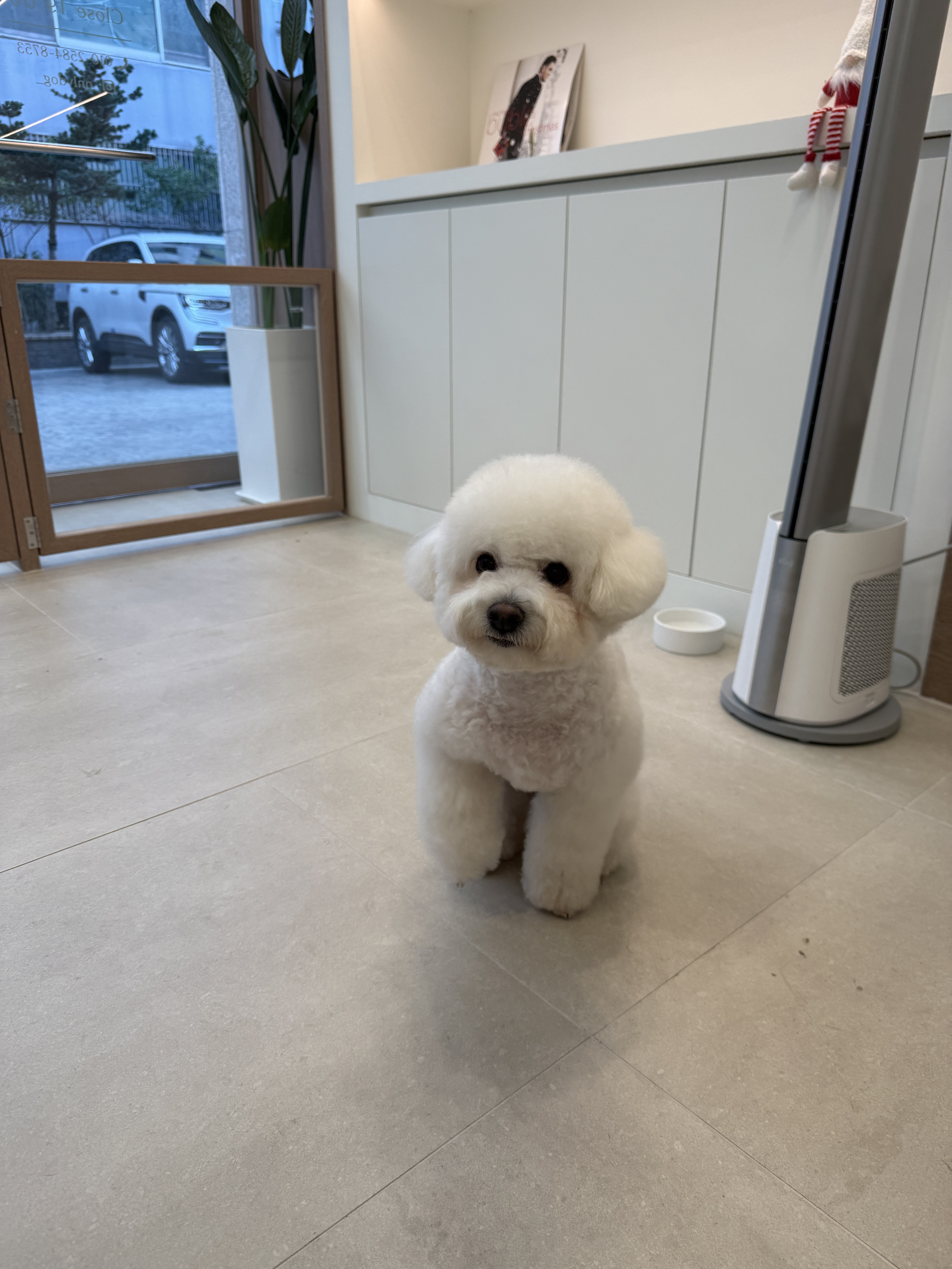 온리독 대표 이미지