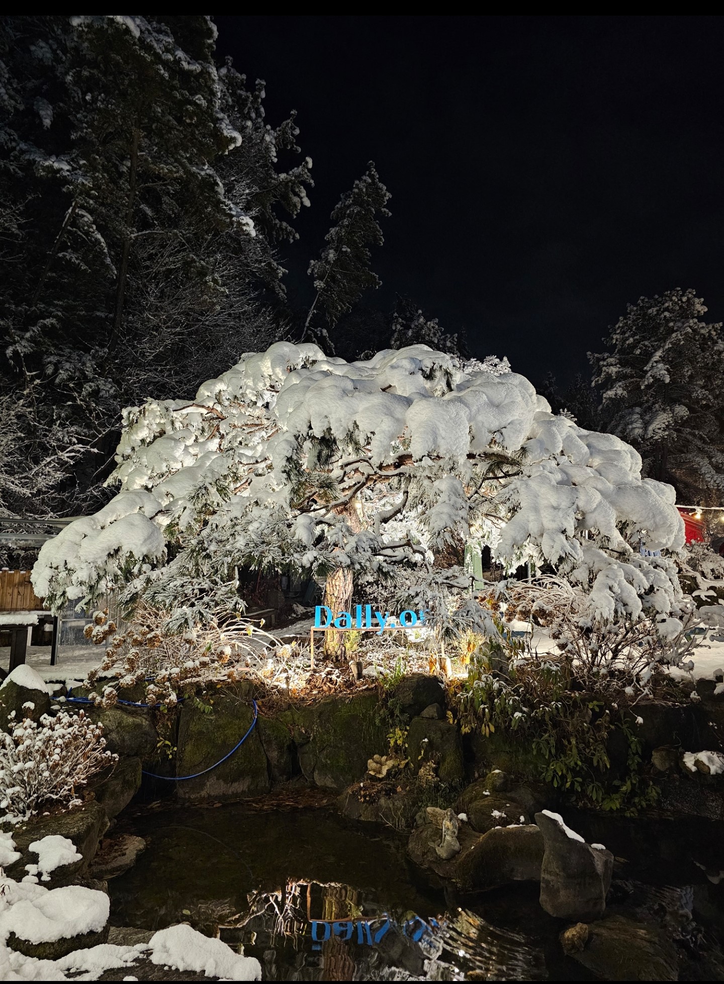 달리온 베이커리&카페