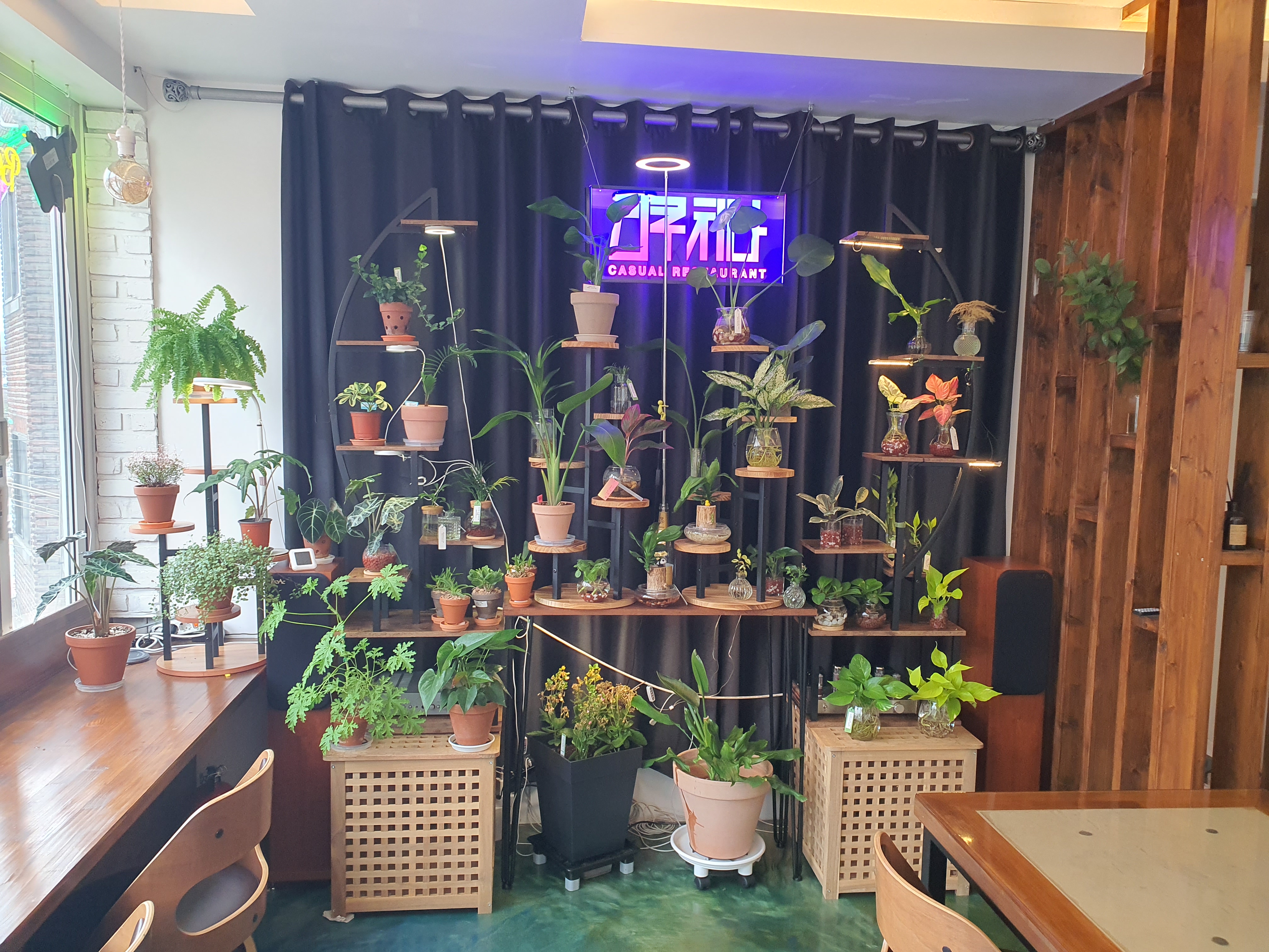 리쿠치나