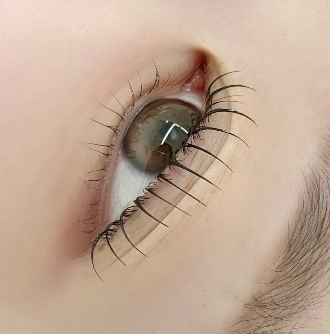 시오뷰티 대표 이미지