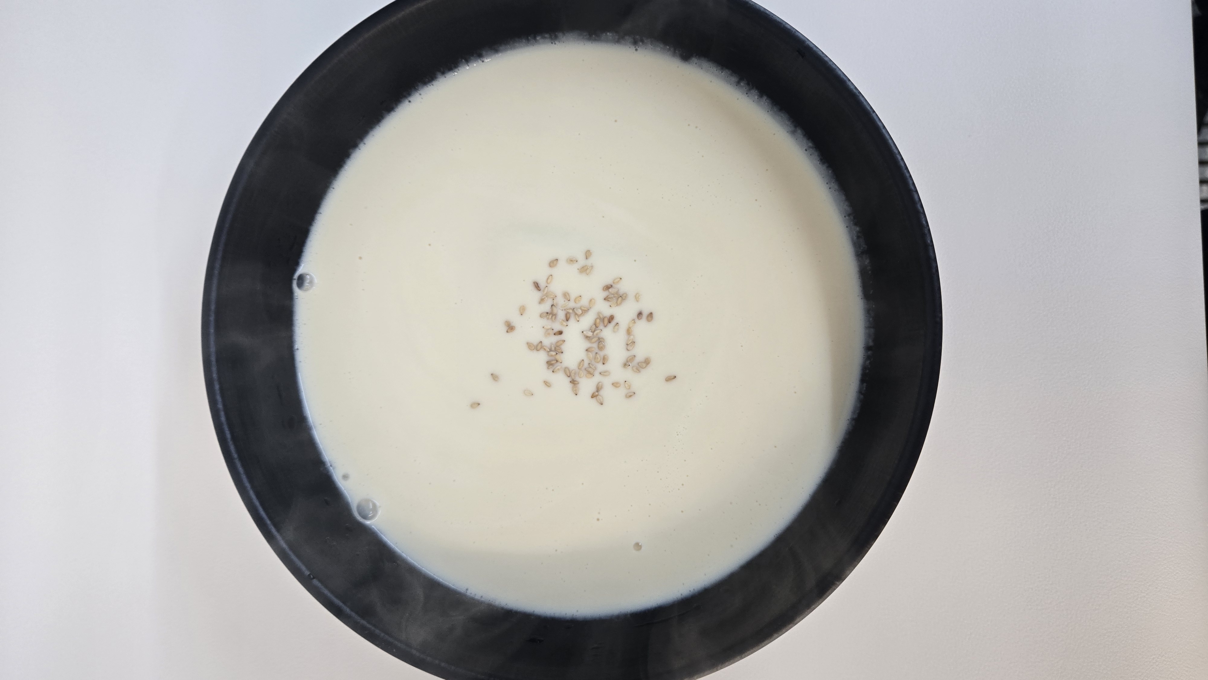 솔밭콩물