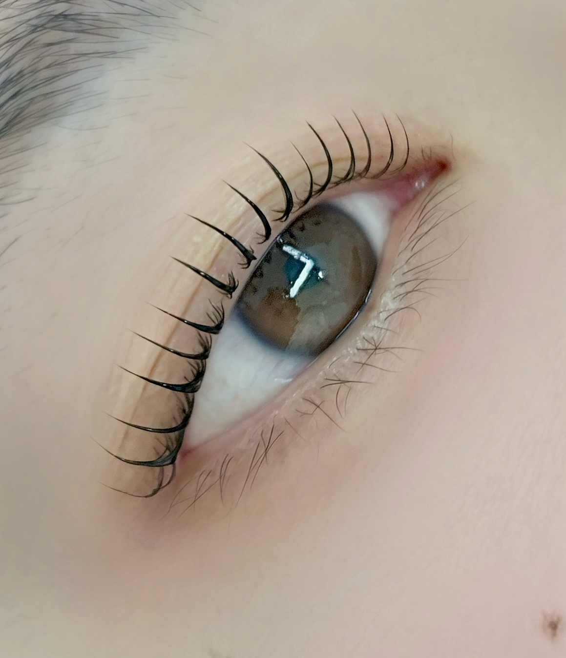 시오뷰티 대표 이미지