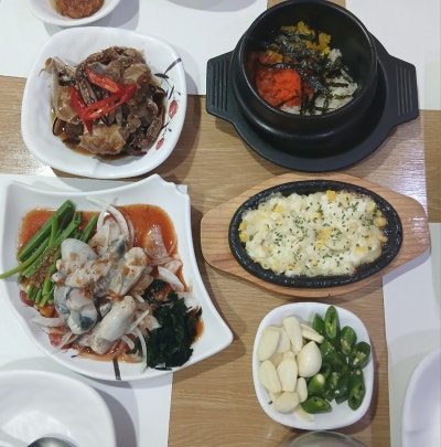 성당물회.회타운