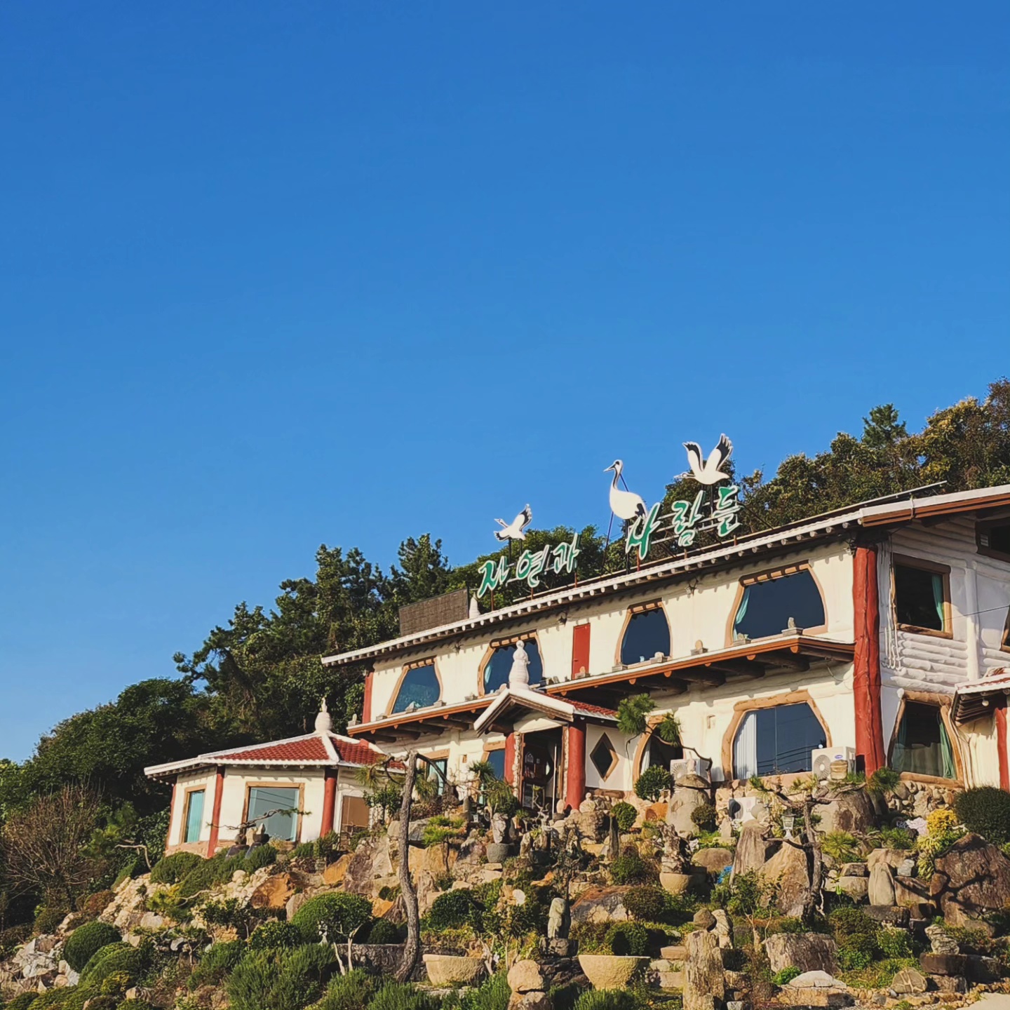 자연과사람들카페