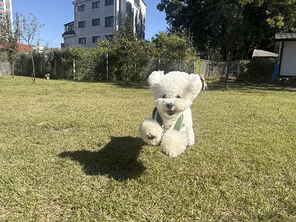 라드독 — 성남시
