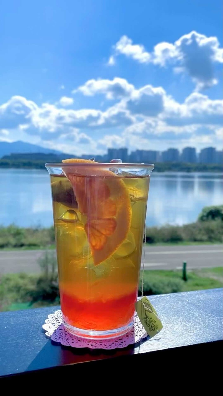 트윈트리 사진 1