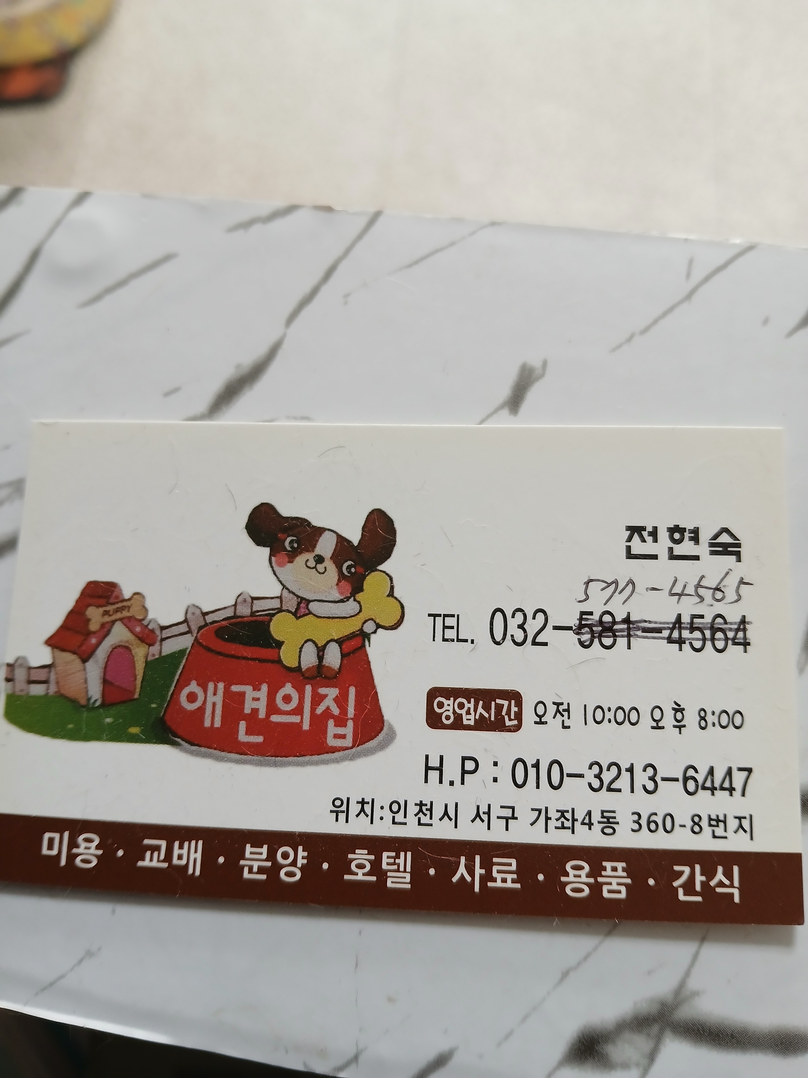 애견의집 대표 이미지