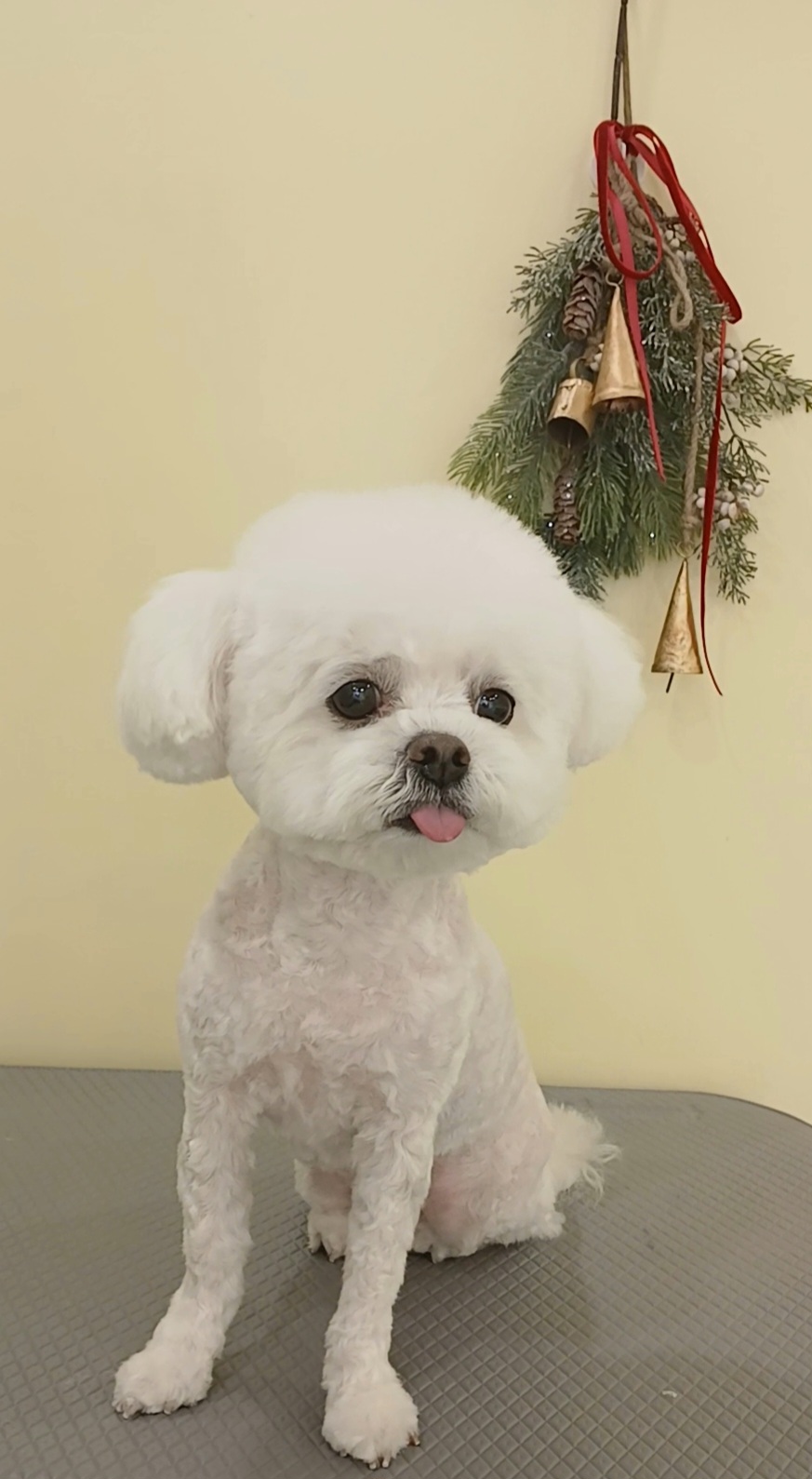 청담슈슈 대표 이미지