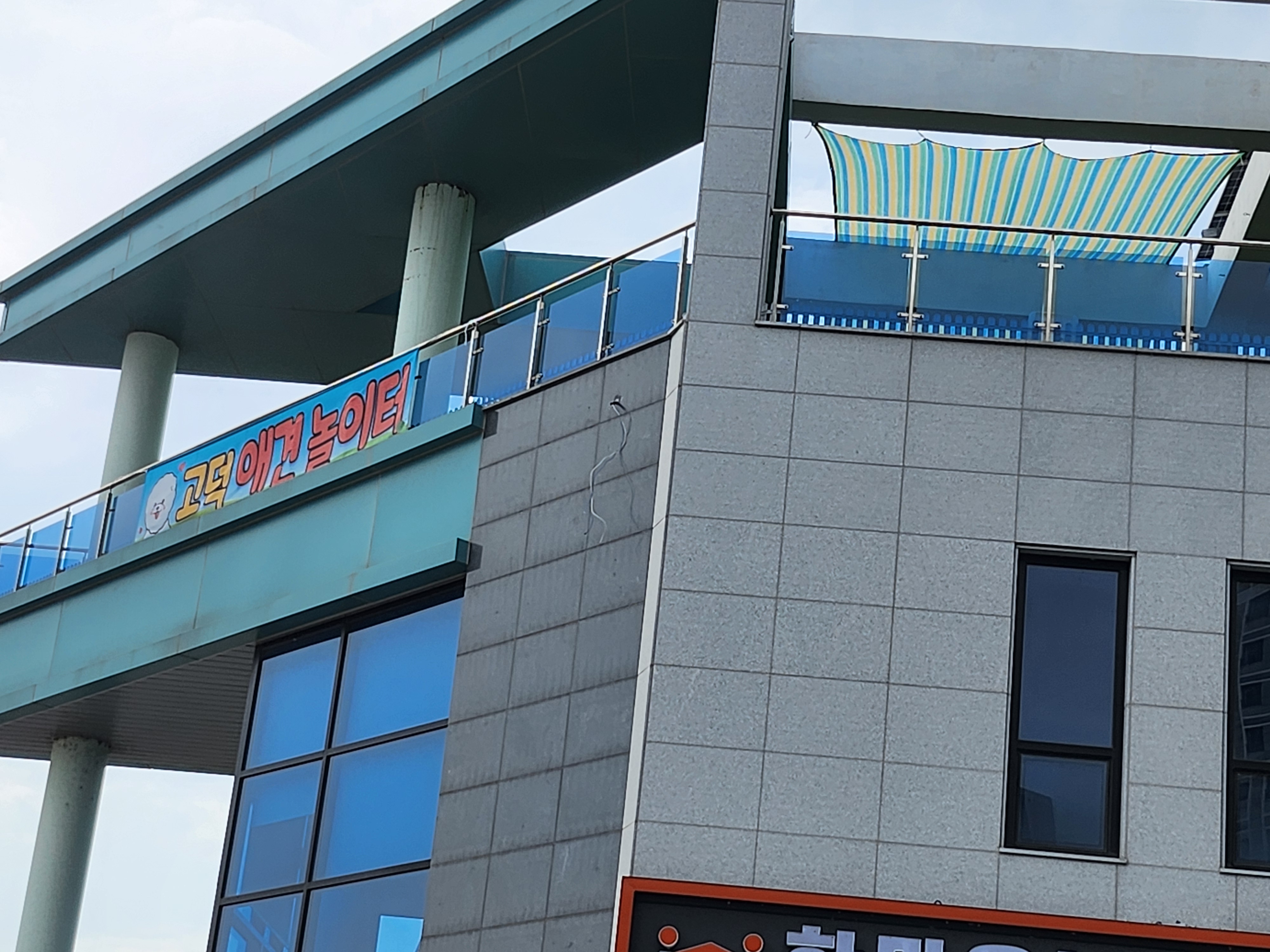 고덕애견놀이터 경기 애견맛집