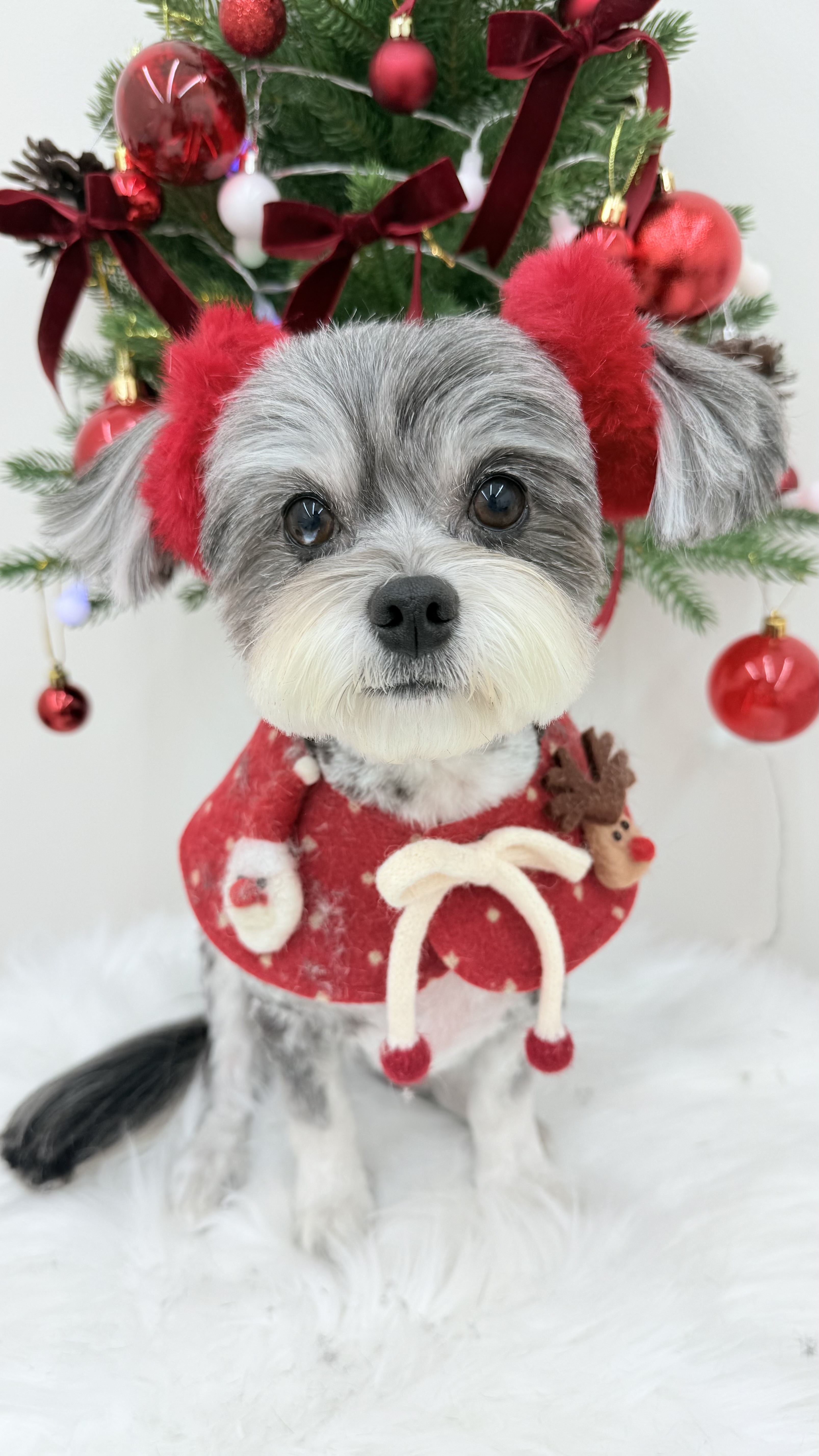 뽀글 대표 이미지