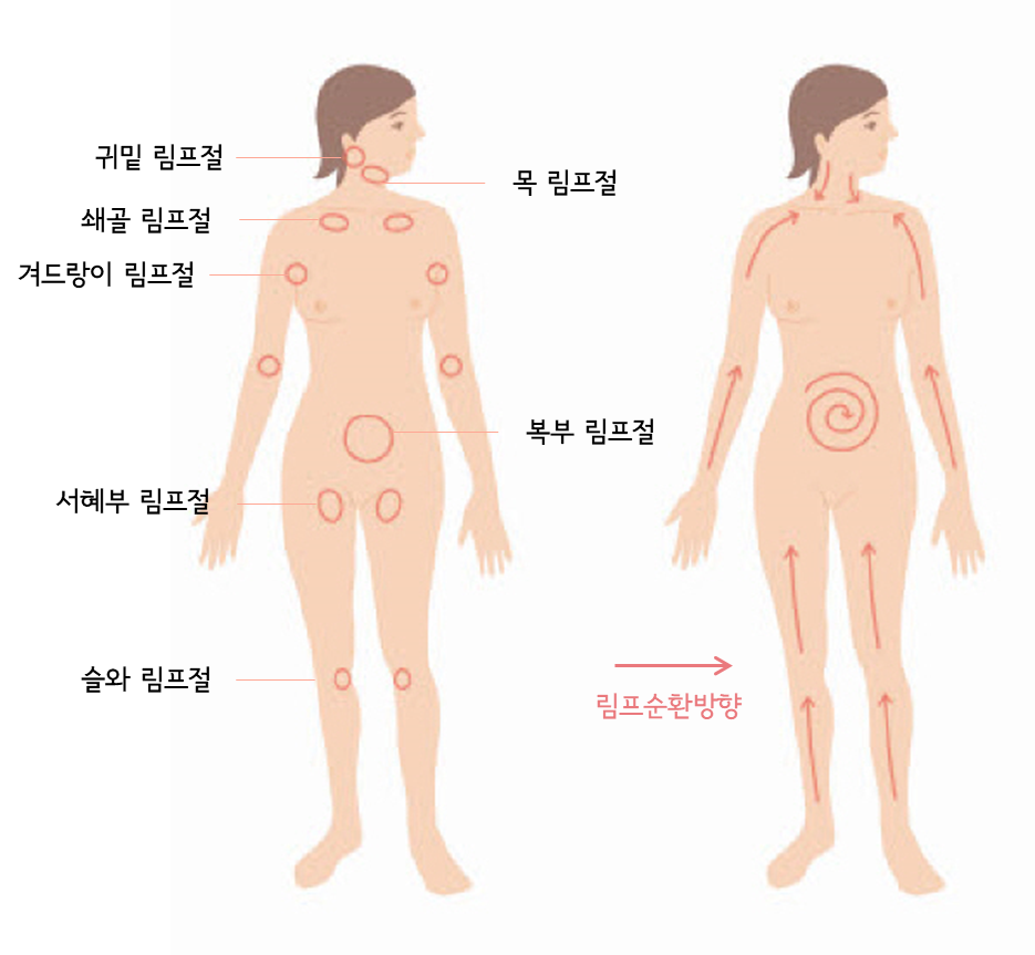 윤석민인더바디 마사지 photo 8