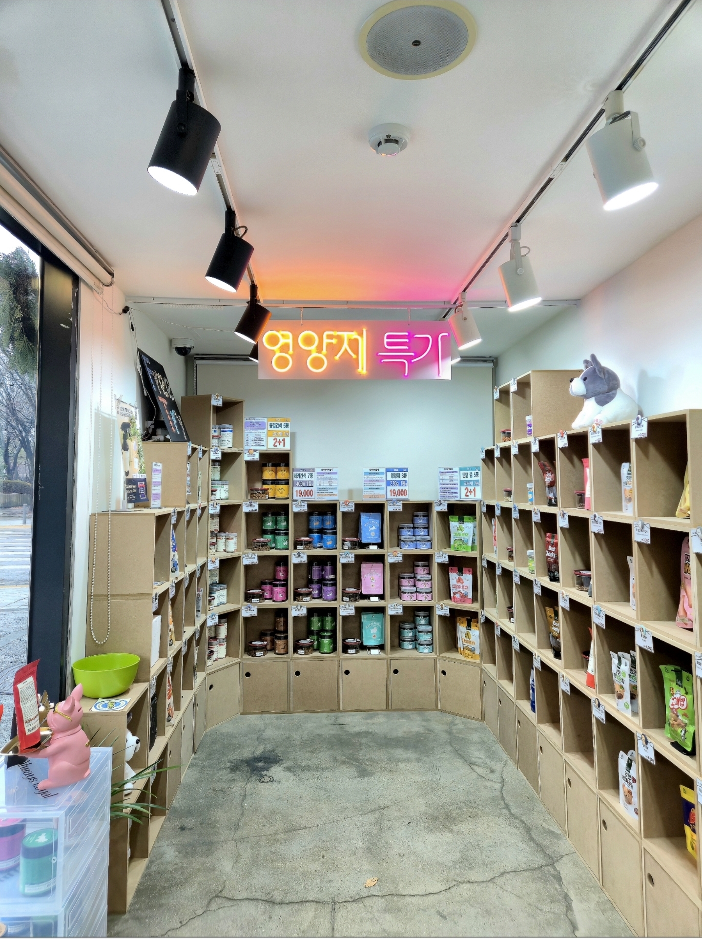 모그당 대표 이미지