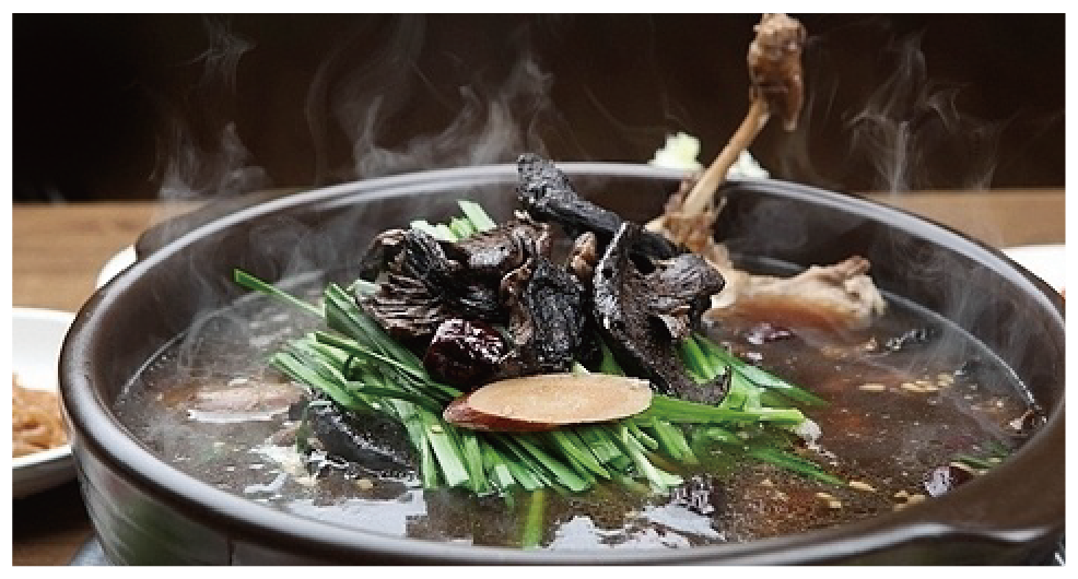 커피보리 강원 애견맛집