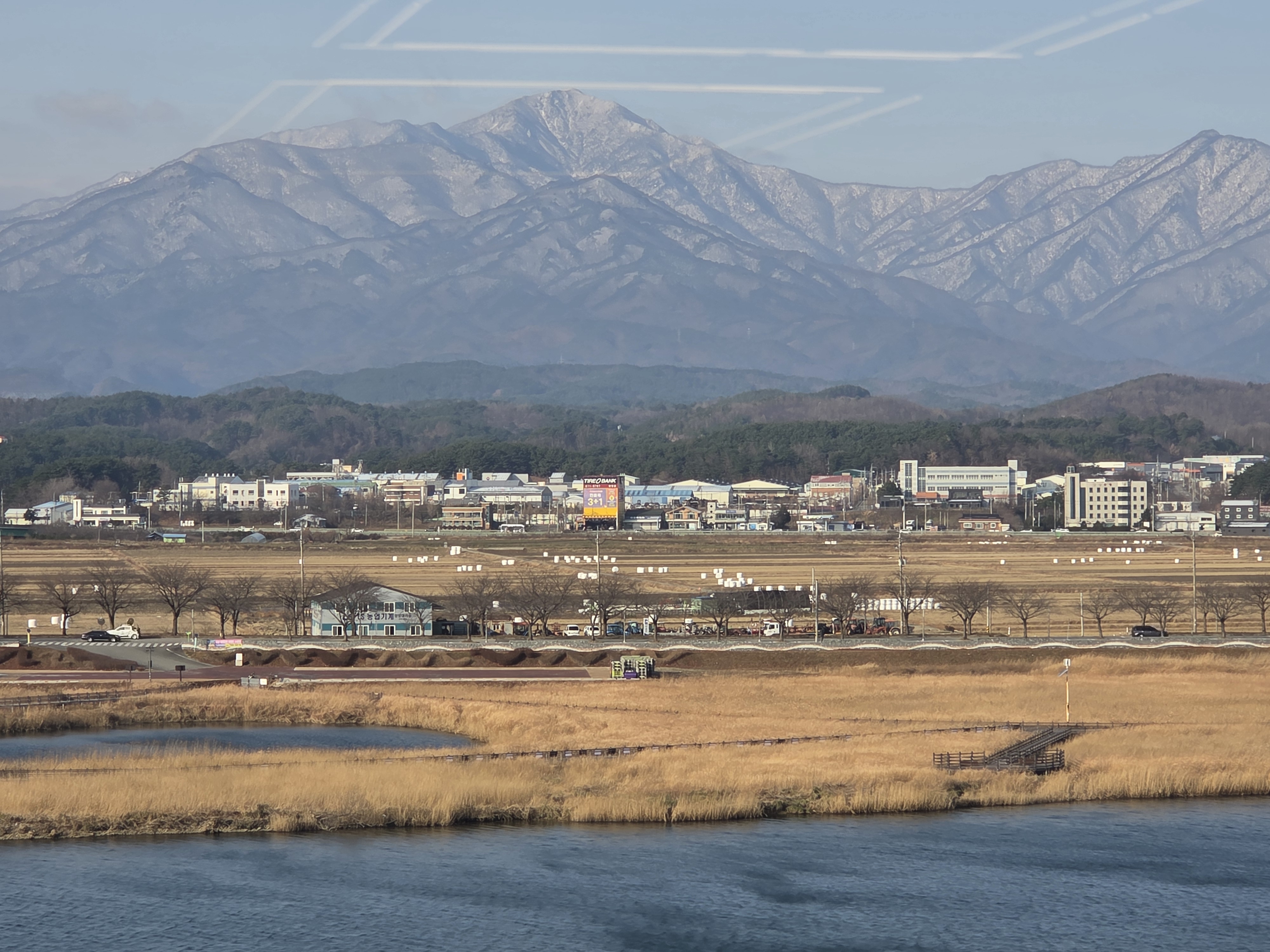 새먼로우드100 반려동물 동반 애견카페
