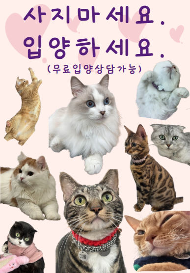냥카페,루브