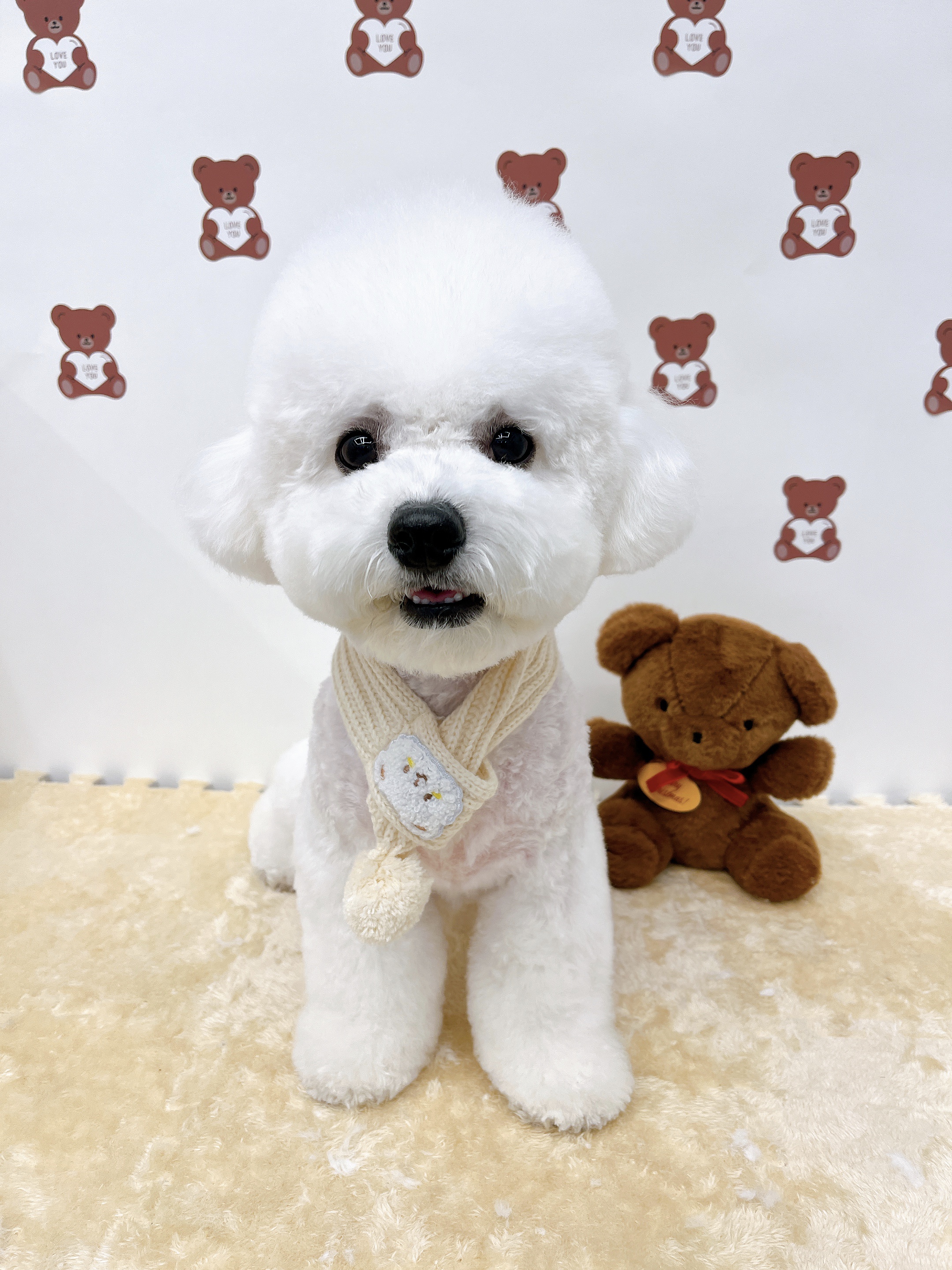 까망코살롱 대표 이미지