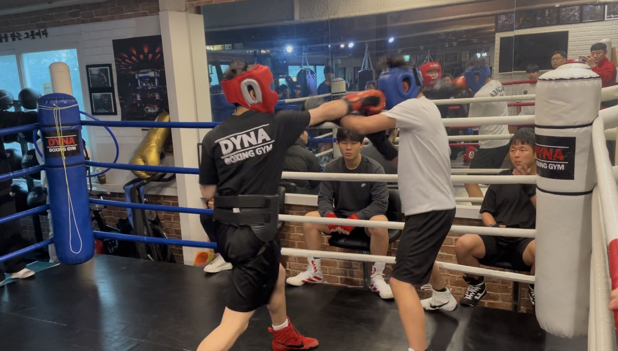 경기도 안산시 상록구 복싱체육관 다이나복싱체육관 내부 모습 3