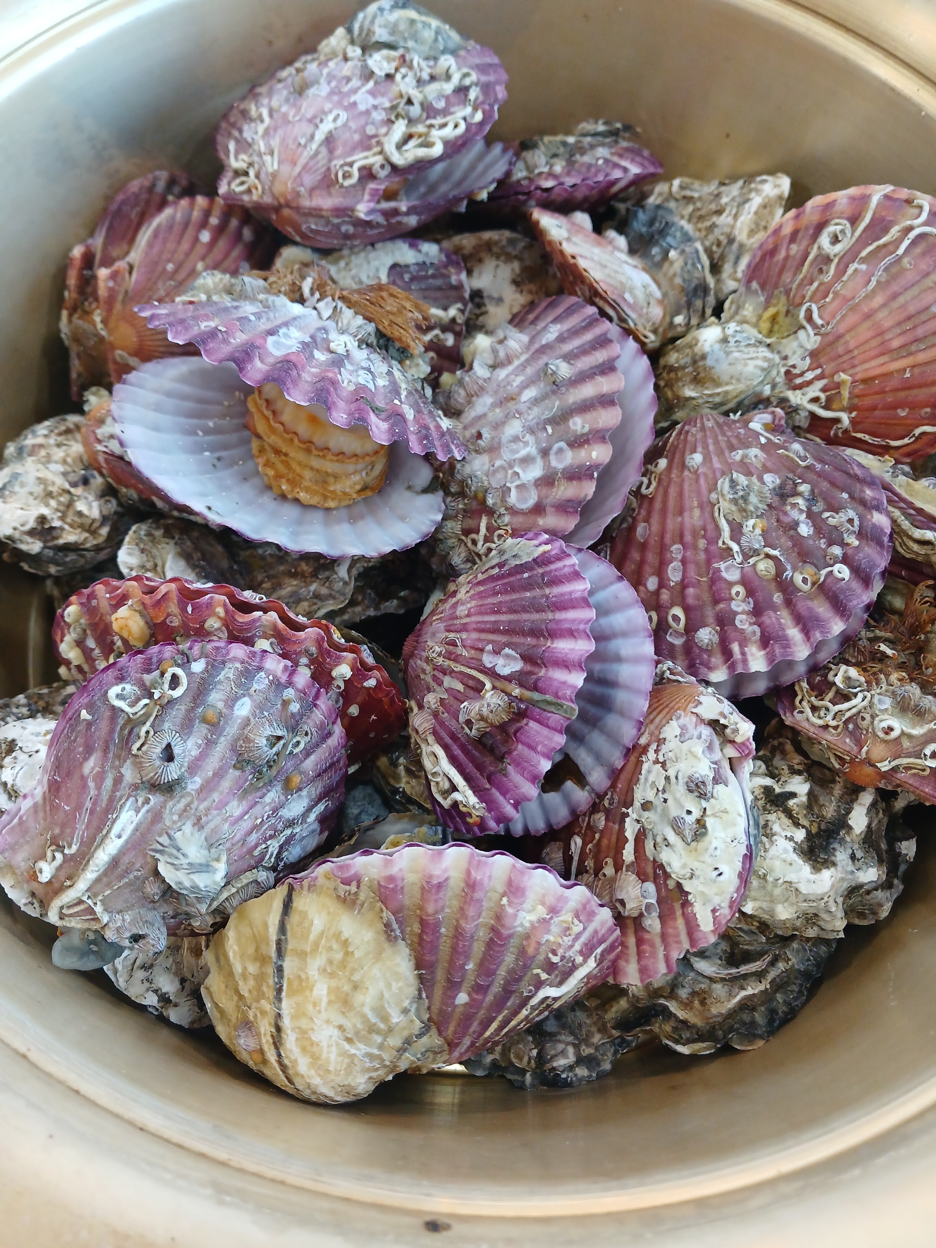 설리바베큐식당