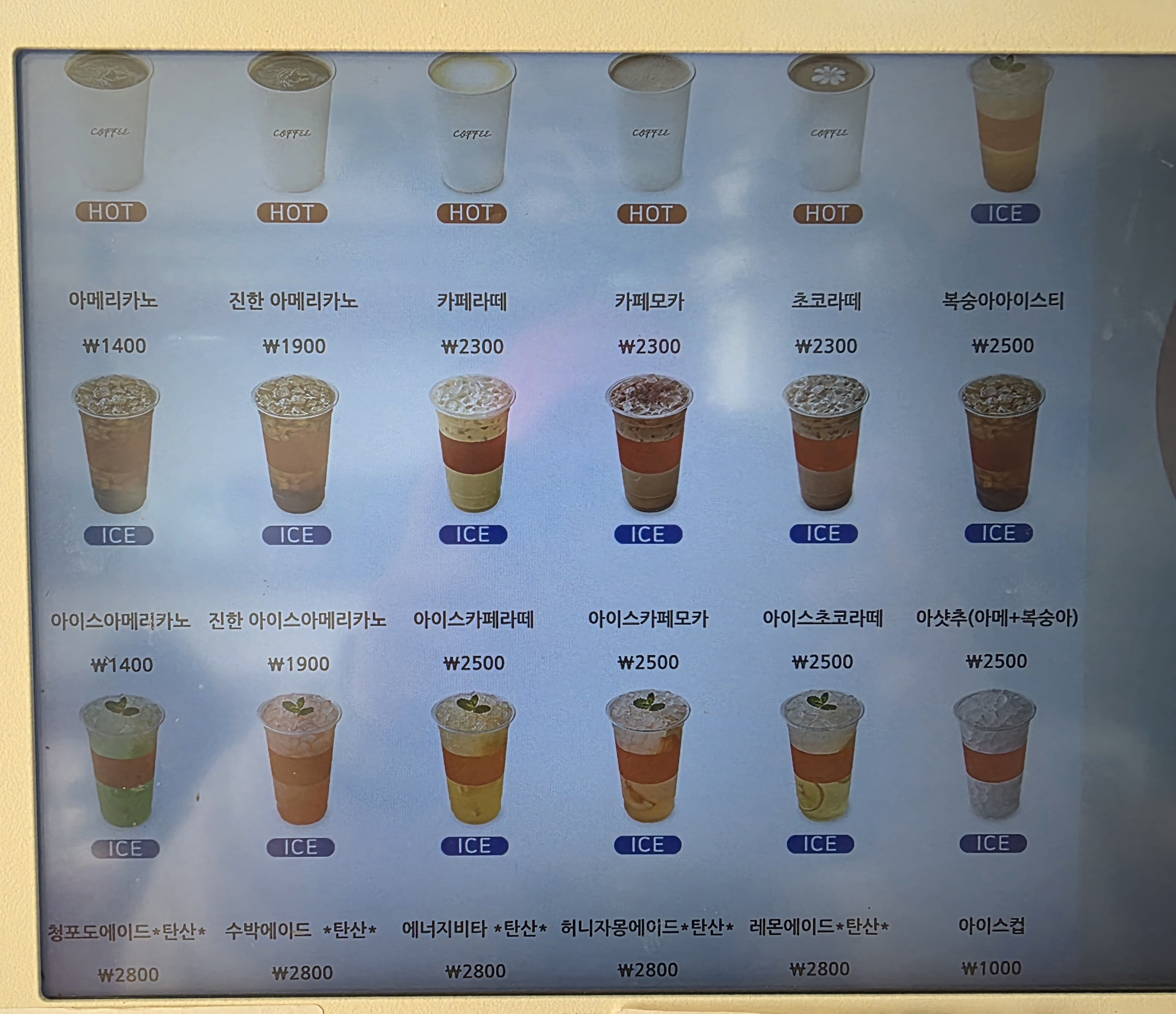 포메리카노 경상 애견숙소