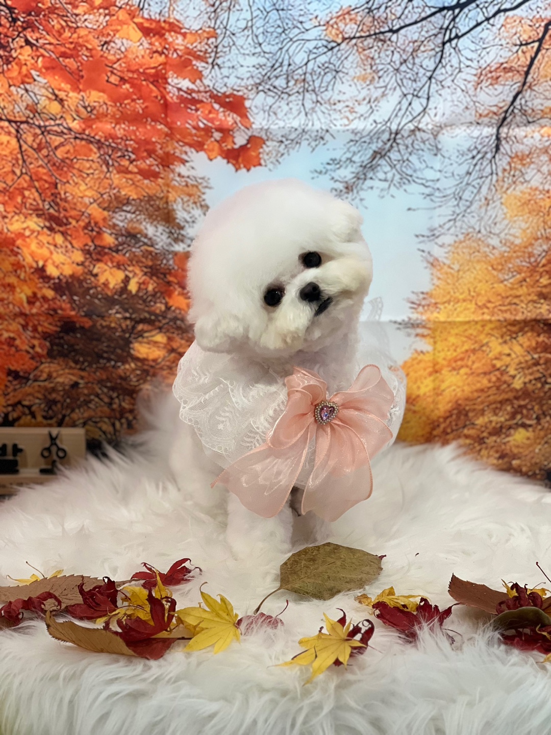 운정멍발소 대표 이미지