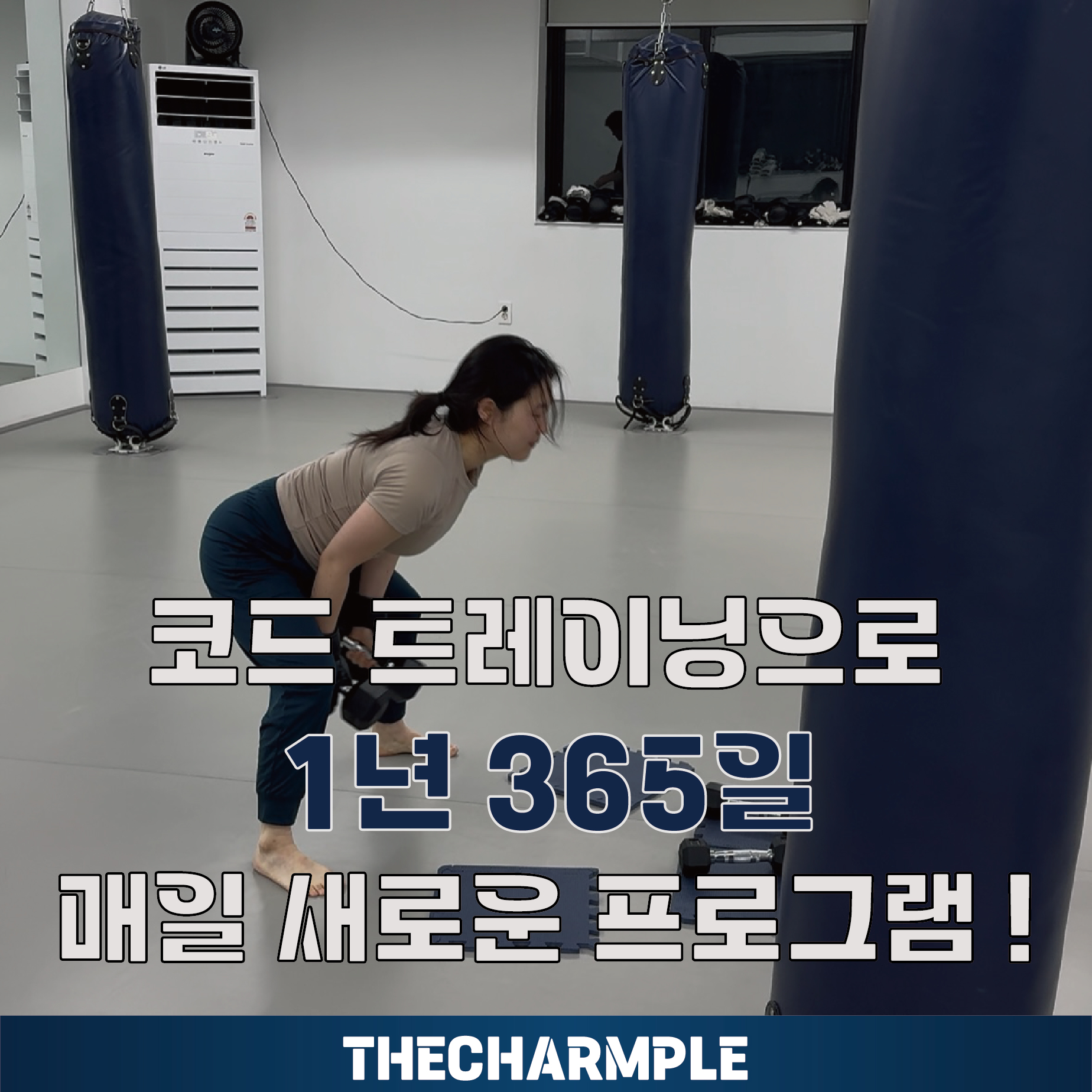 서울 강서구 양천로 복싱체육관 더챔플 내부 모습 3