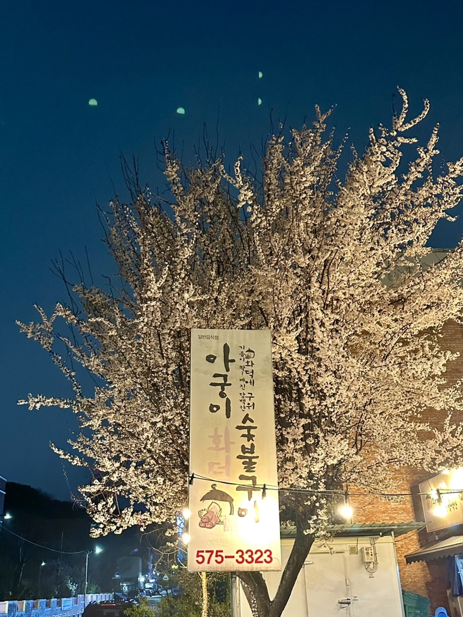 아궁이화덕숯불구이