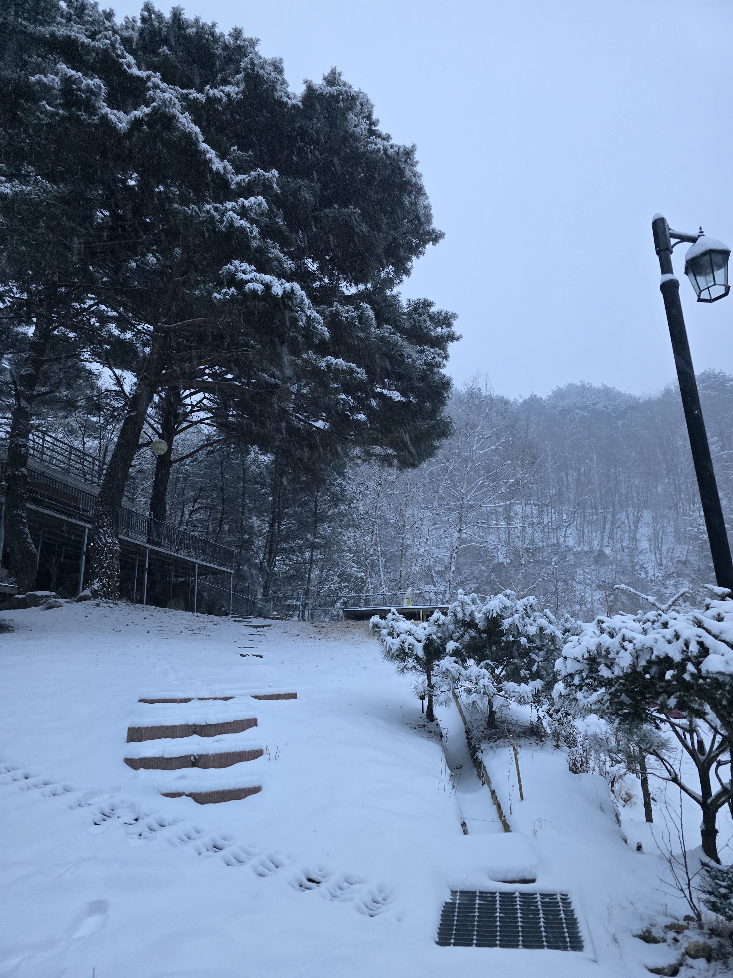 사진 4