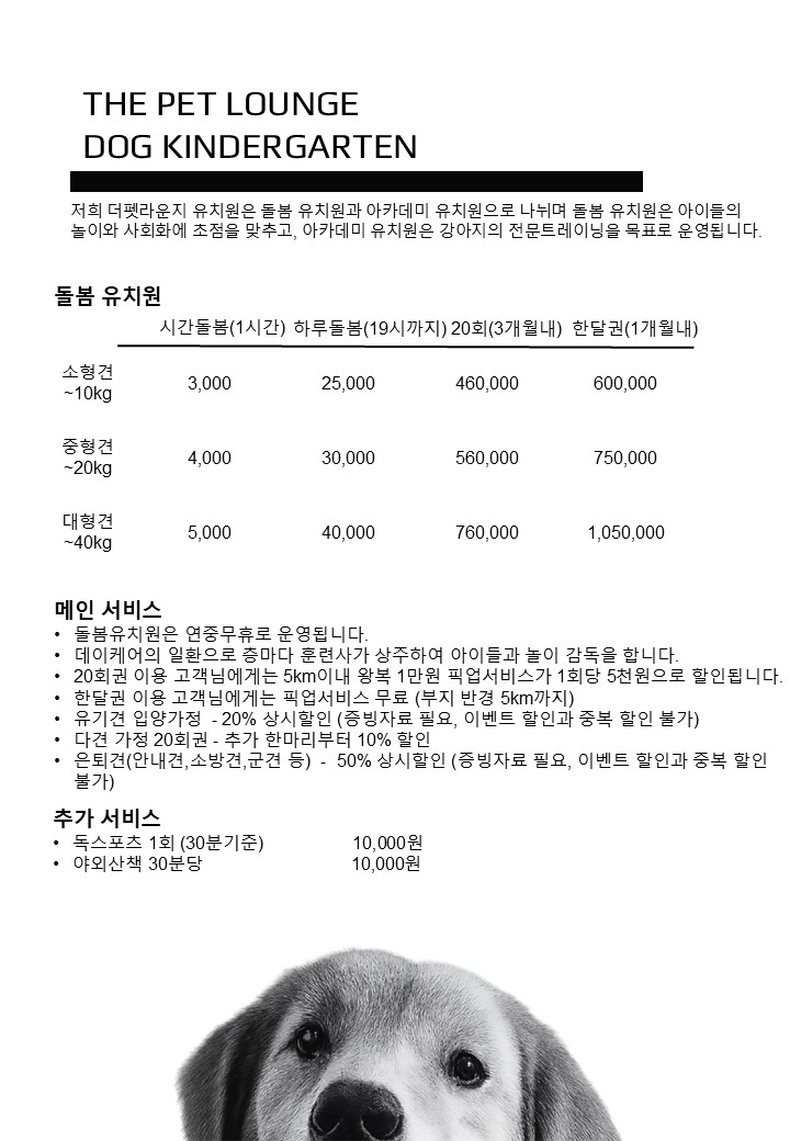 더 펫 라운지 경기 애견숙소