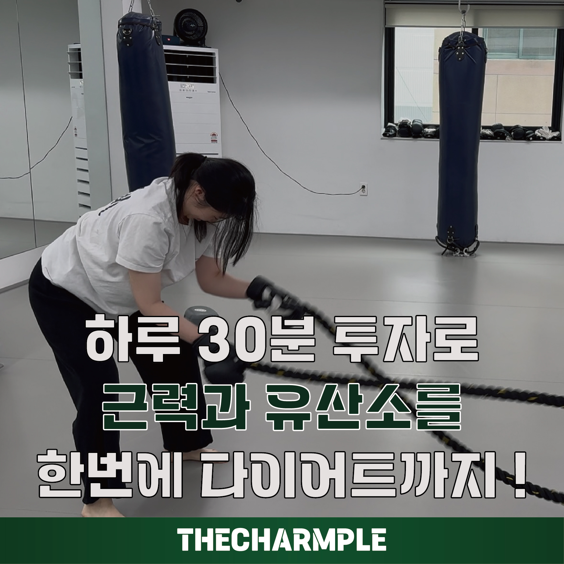 서울 강서구 양천로 복싱체육관 더챔플 내부 모습 4