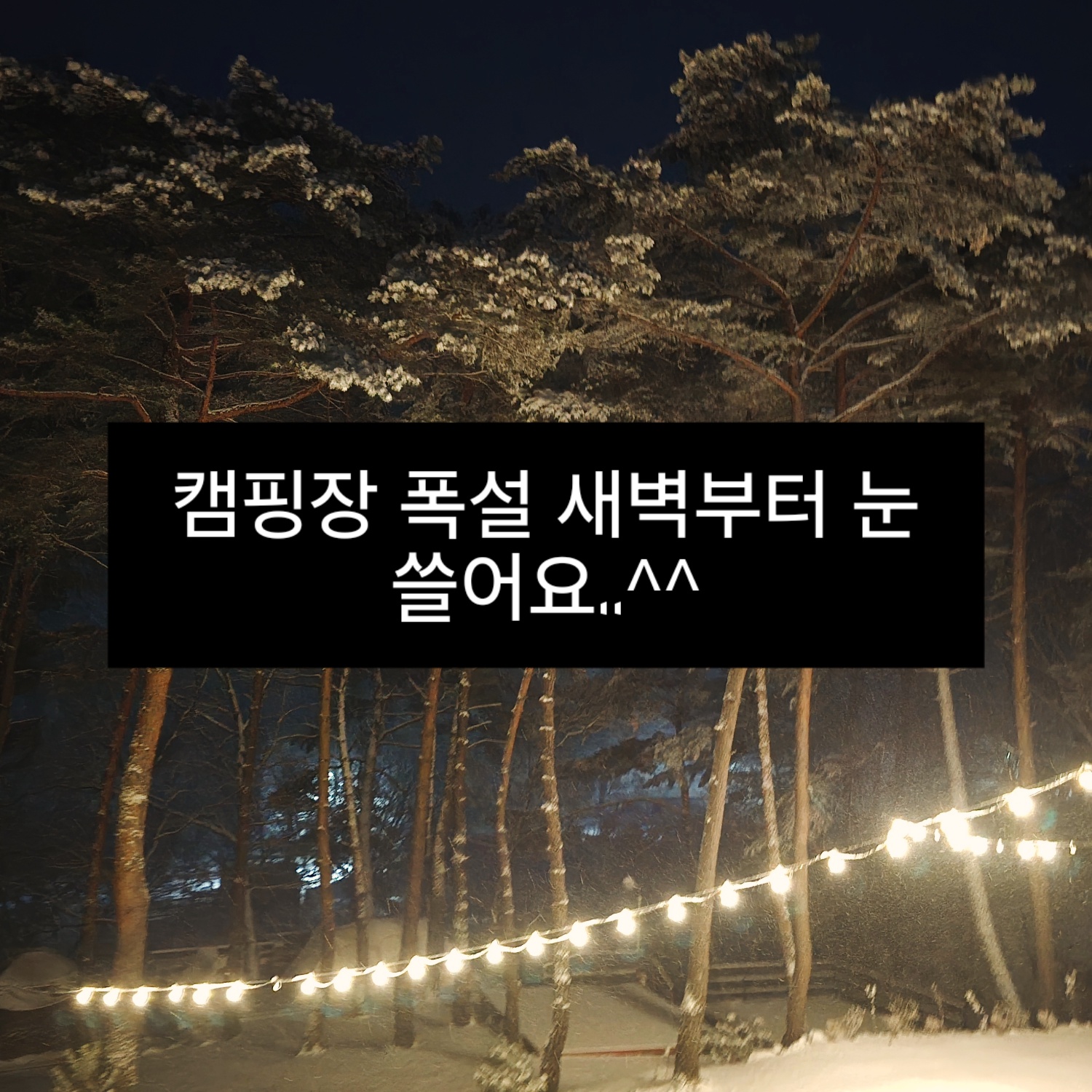 사진 2