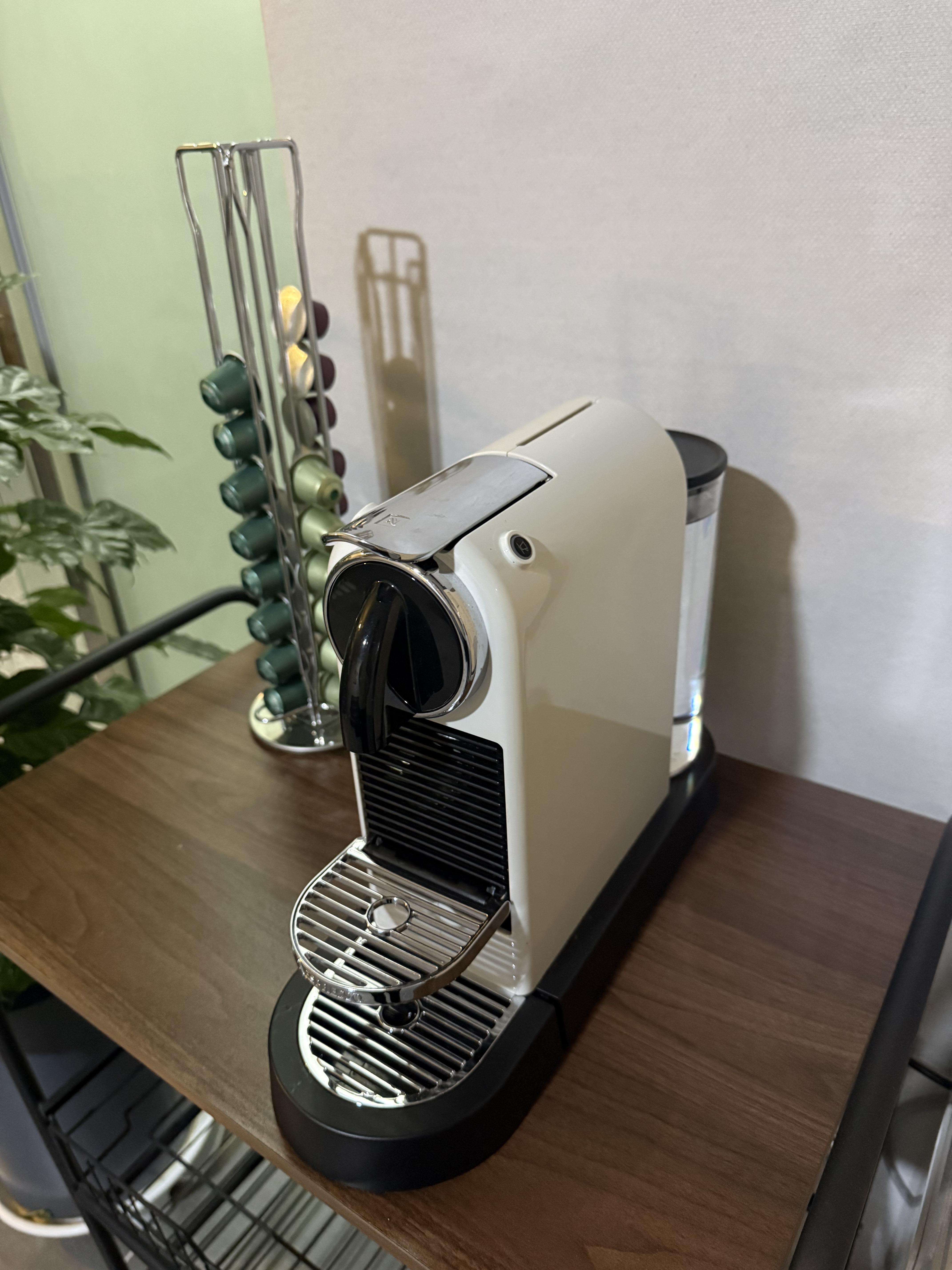 정테라피 photo 3