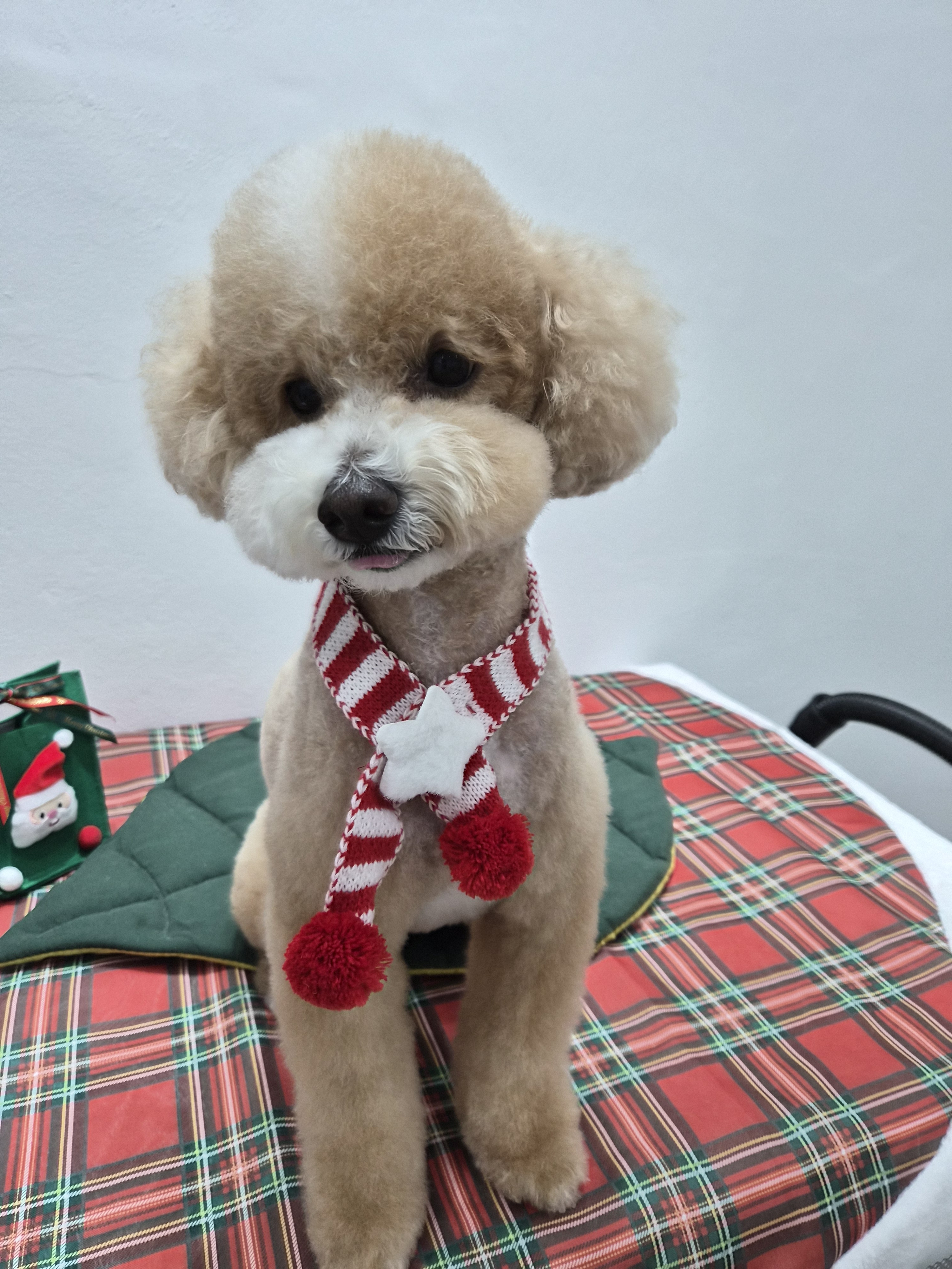 또비네 목욕탕 대표 이미지