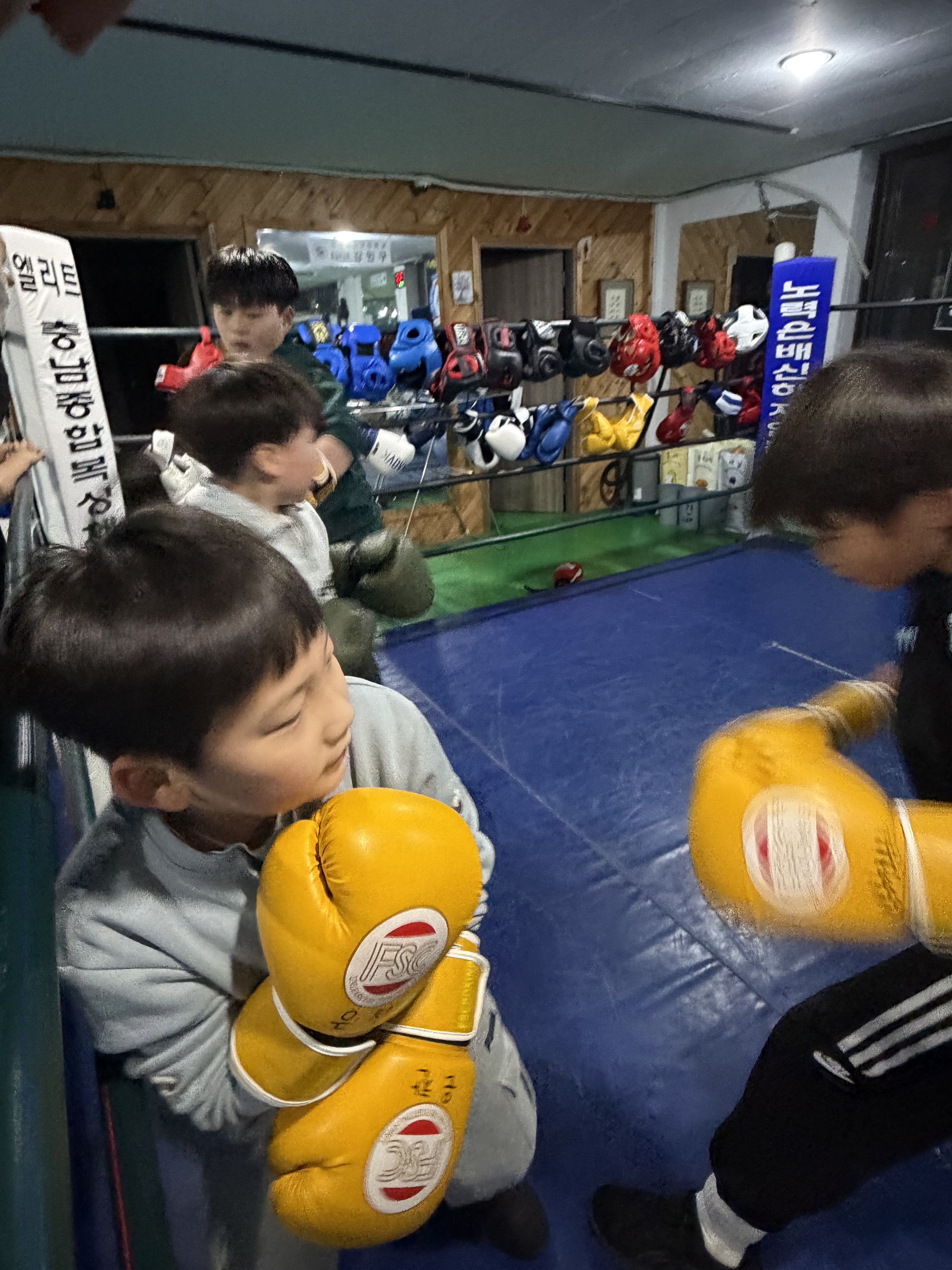 대전 동구 계족로 복싱체육관 충남종합복싱체육관 내부 모습 2