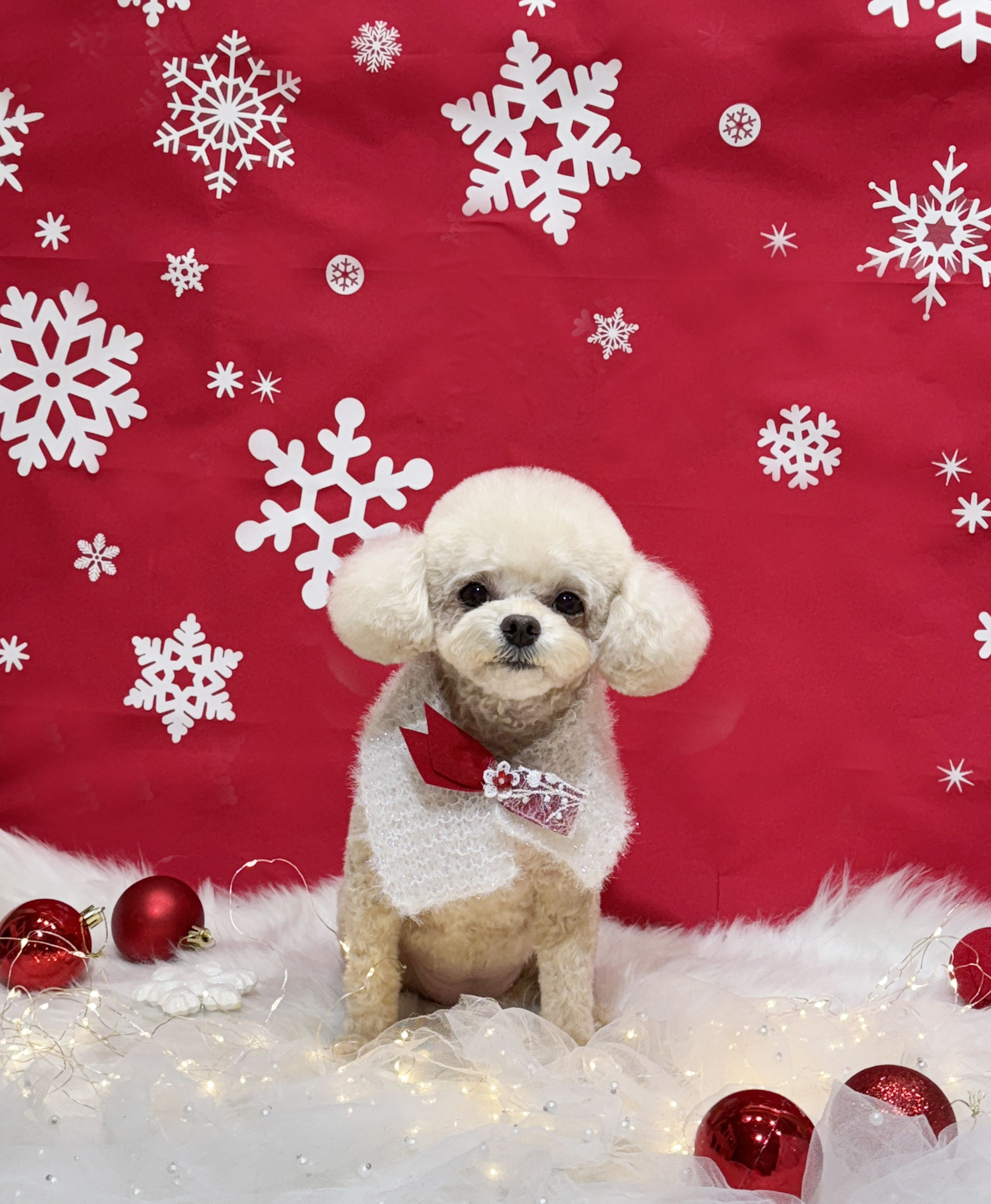 구의 강아지놀이터 대표 이미지