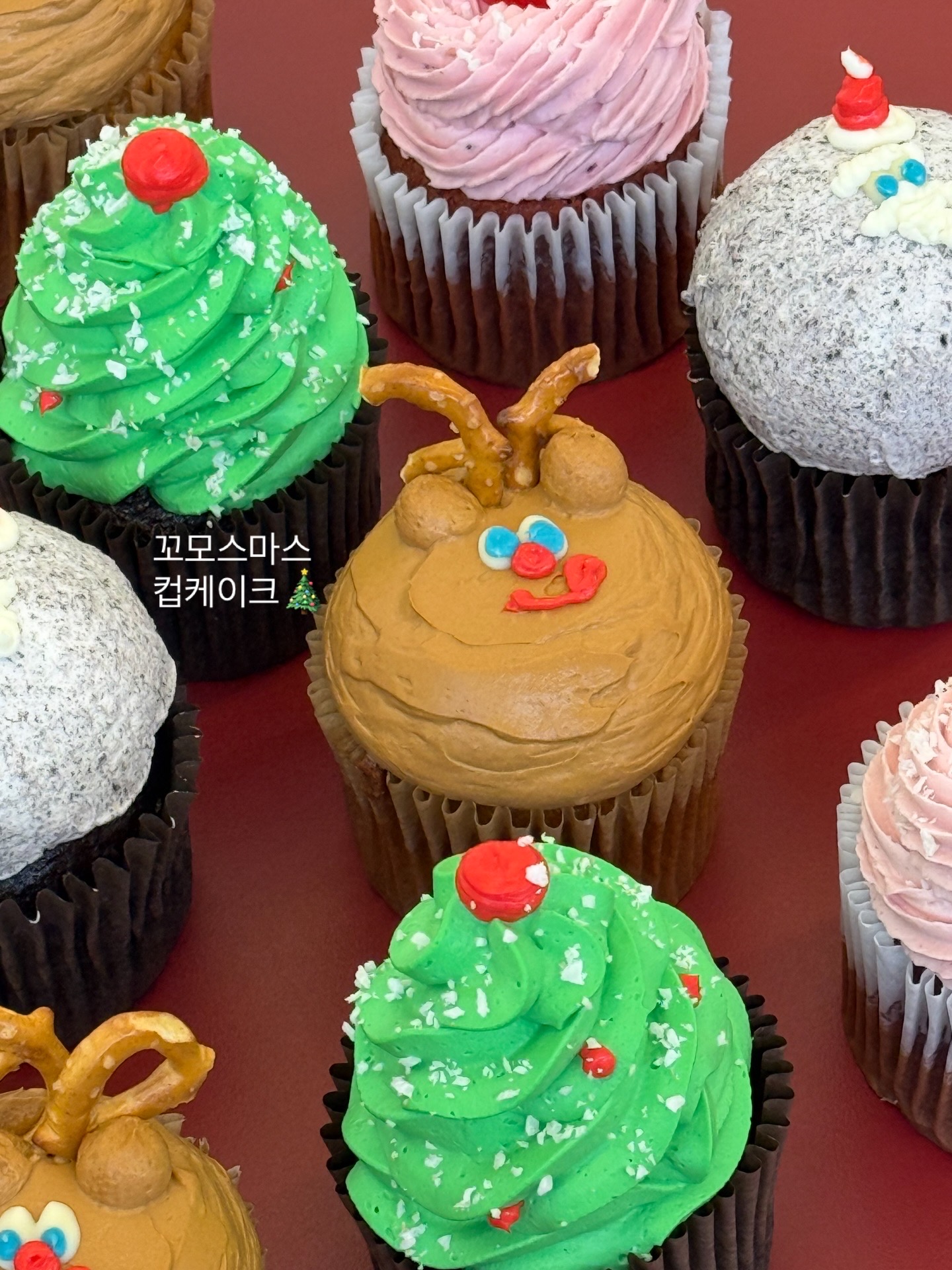 꼬모맨션 반려동물 동반 애견카페