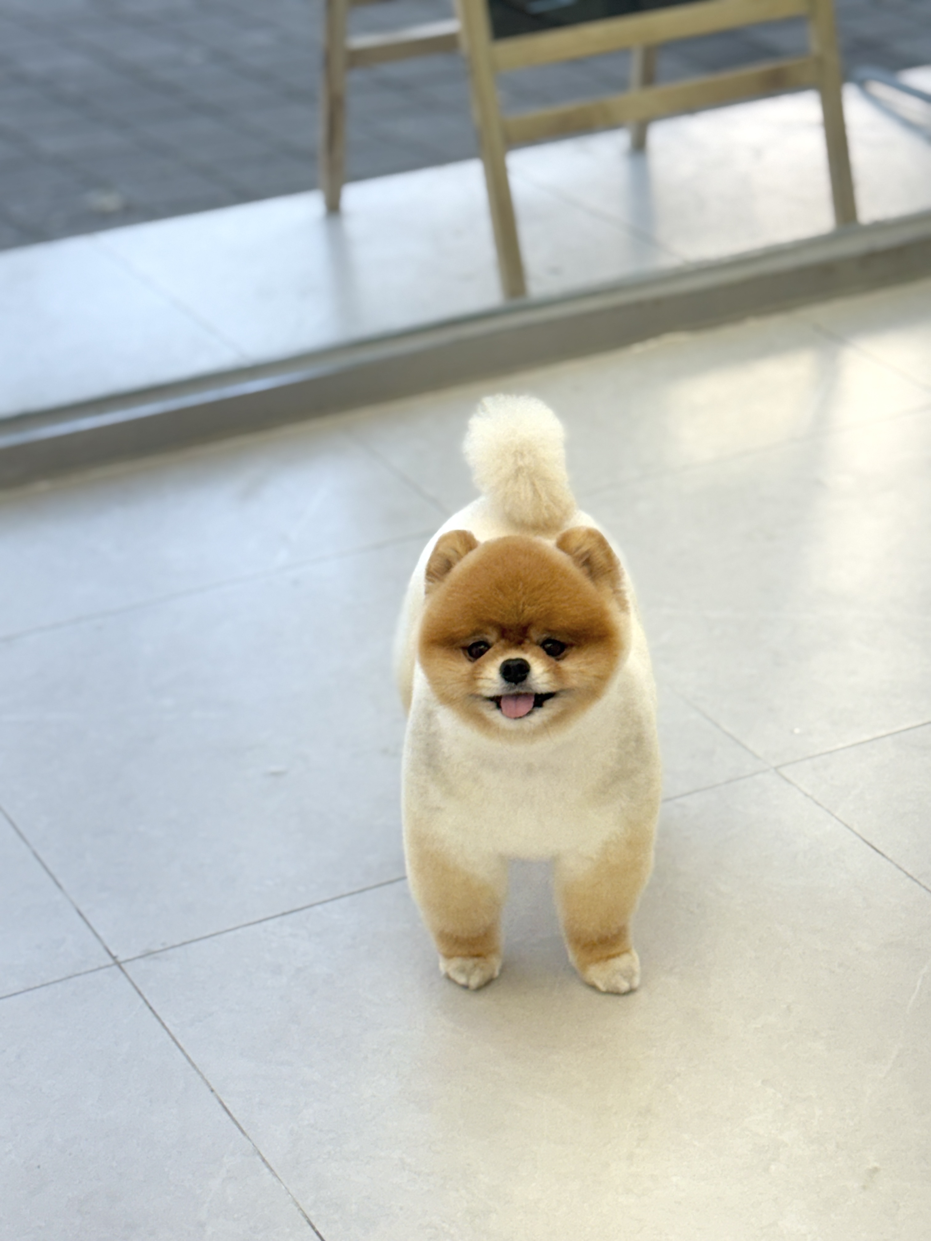 순댕이샵 대표 이미지