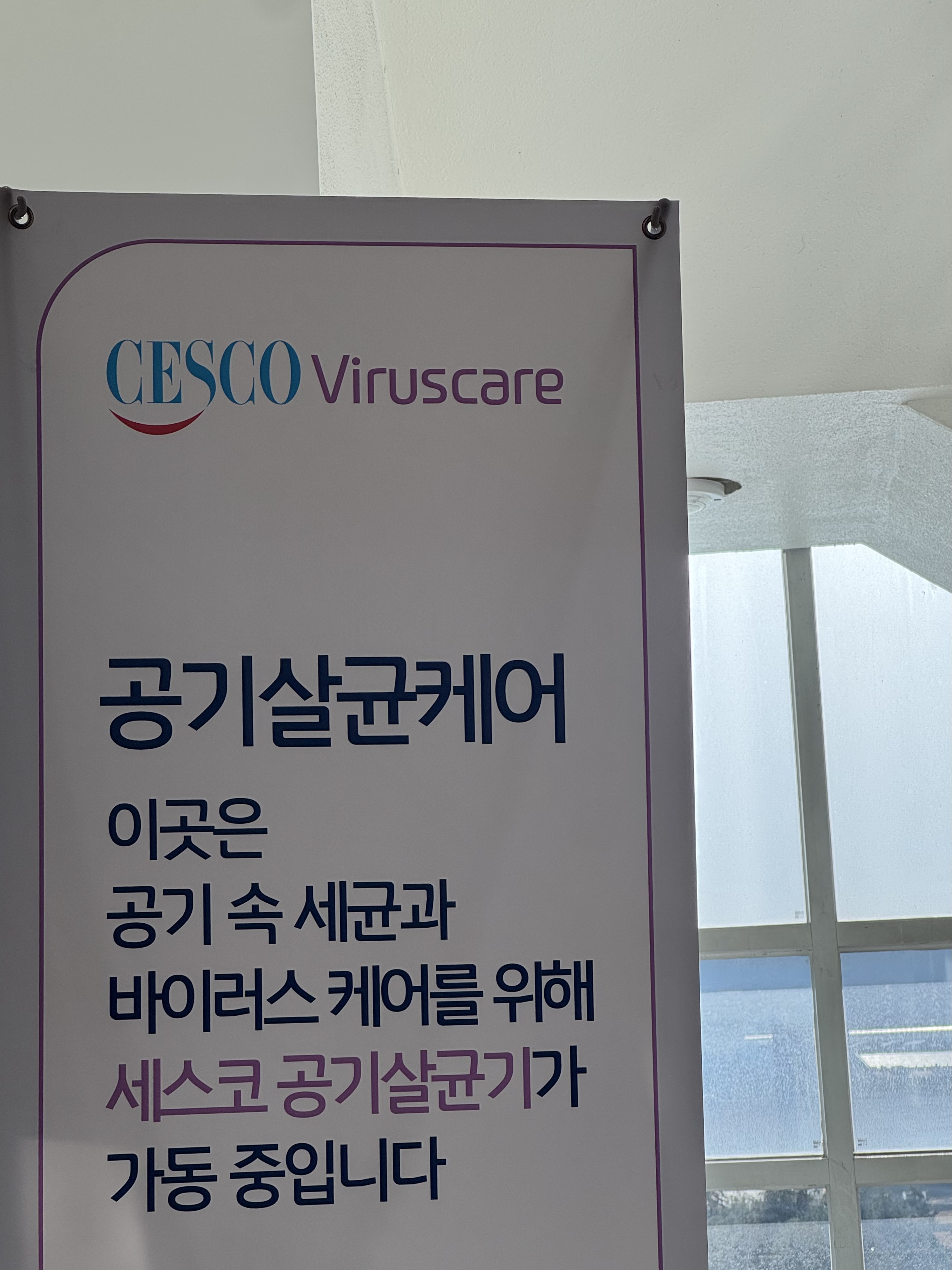 업체사진