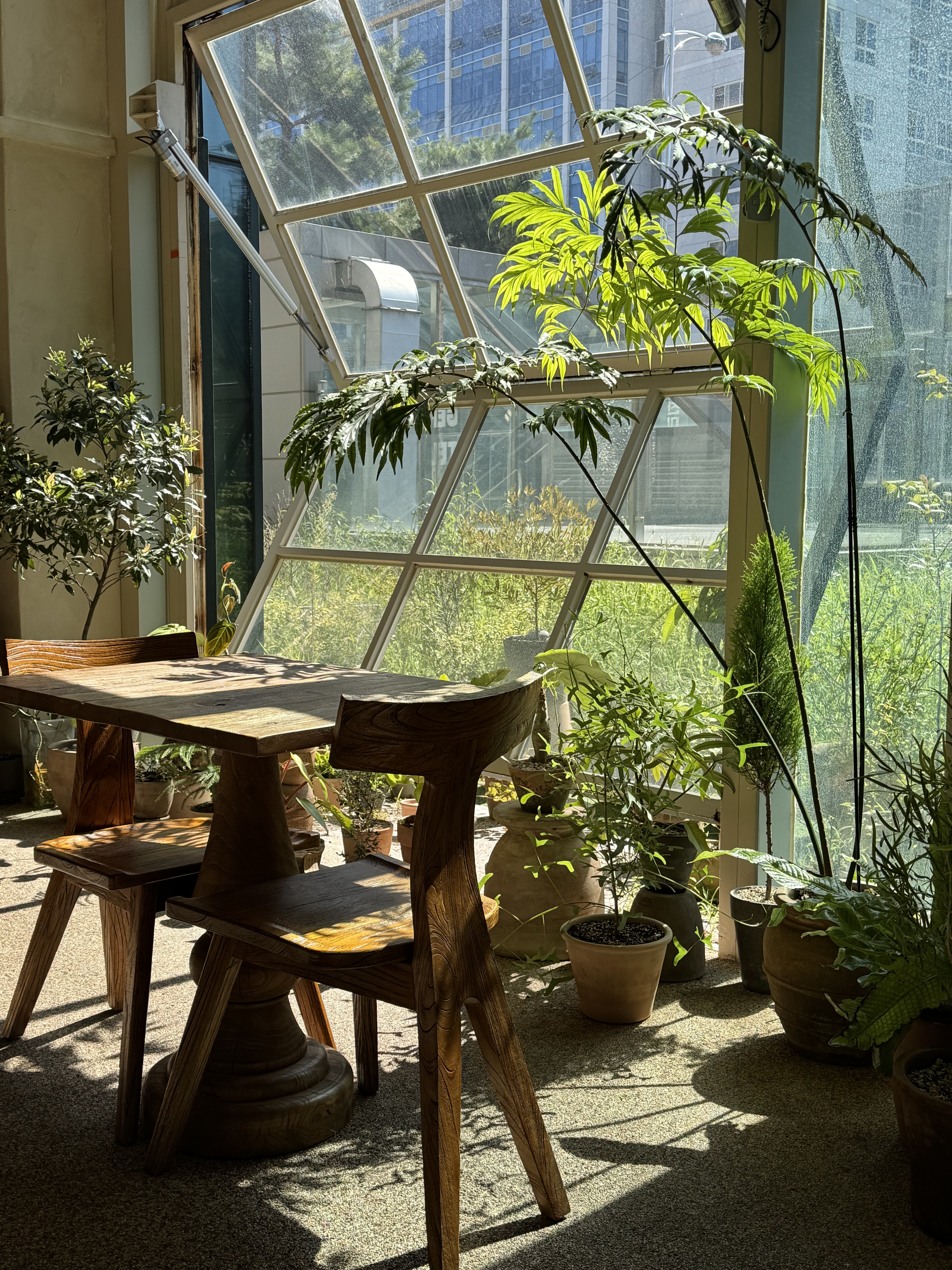 카페수우 하남미사점