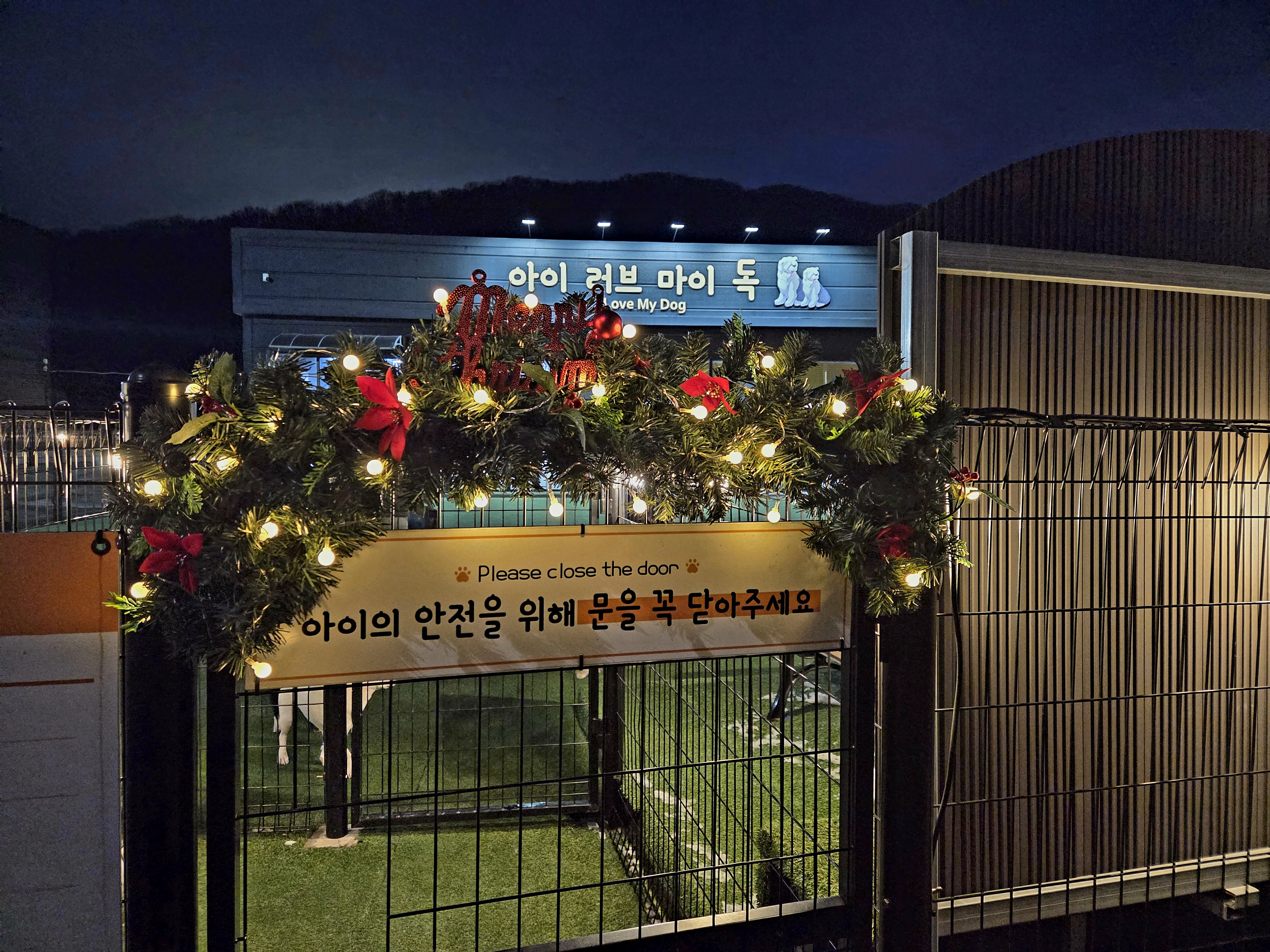 아이러브마이독 대표 이미지