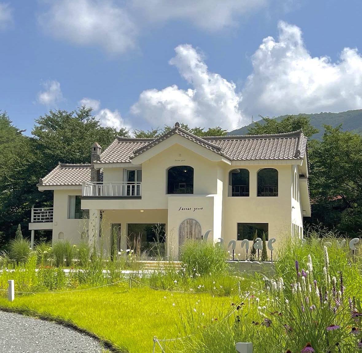 산내그로브 경상 애견맛집