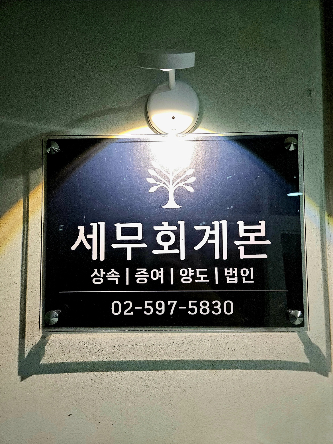 세무회계본 대표 이미지