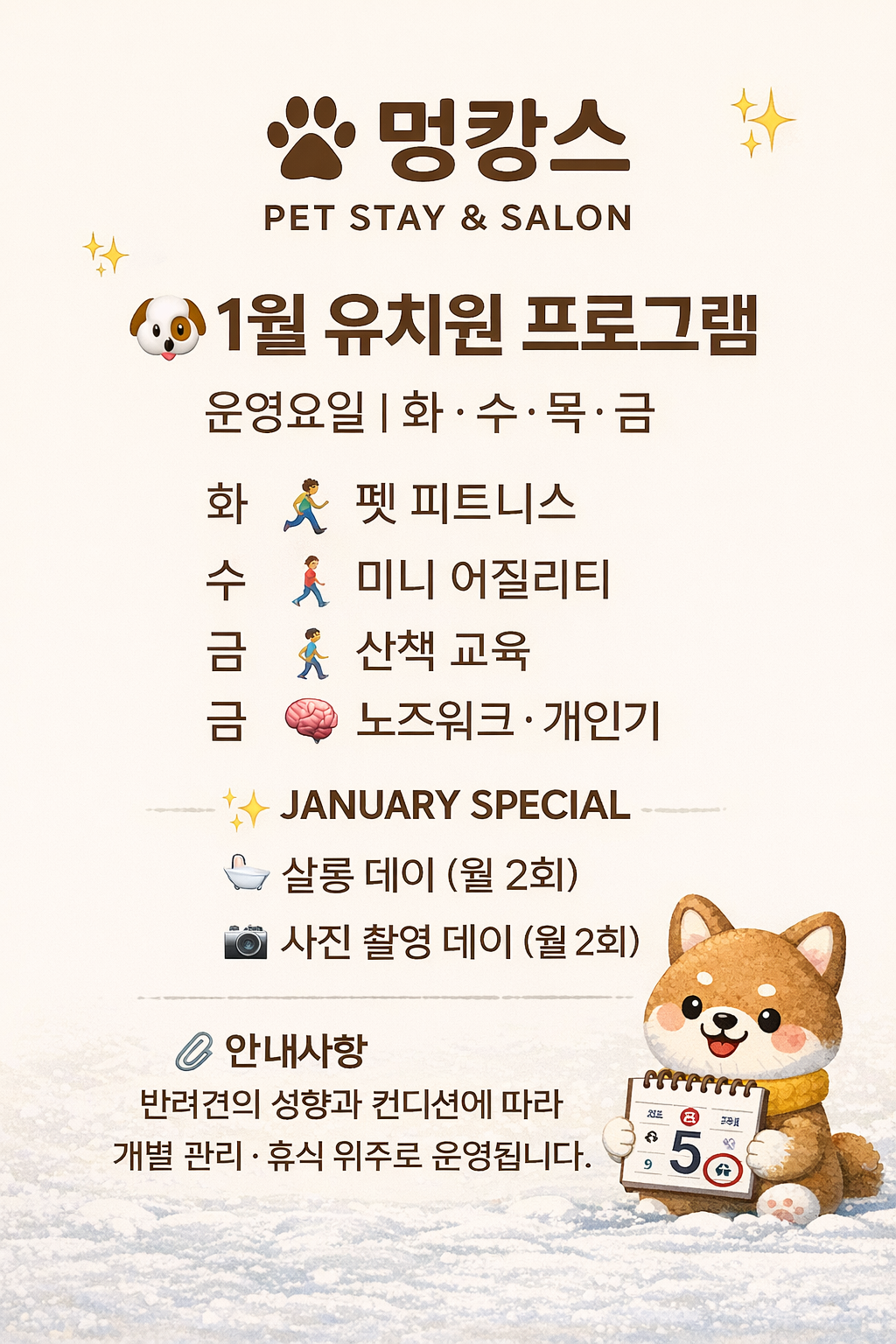 개캉스살롱 충청 애견카페