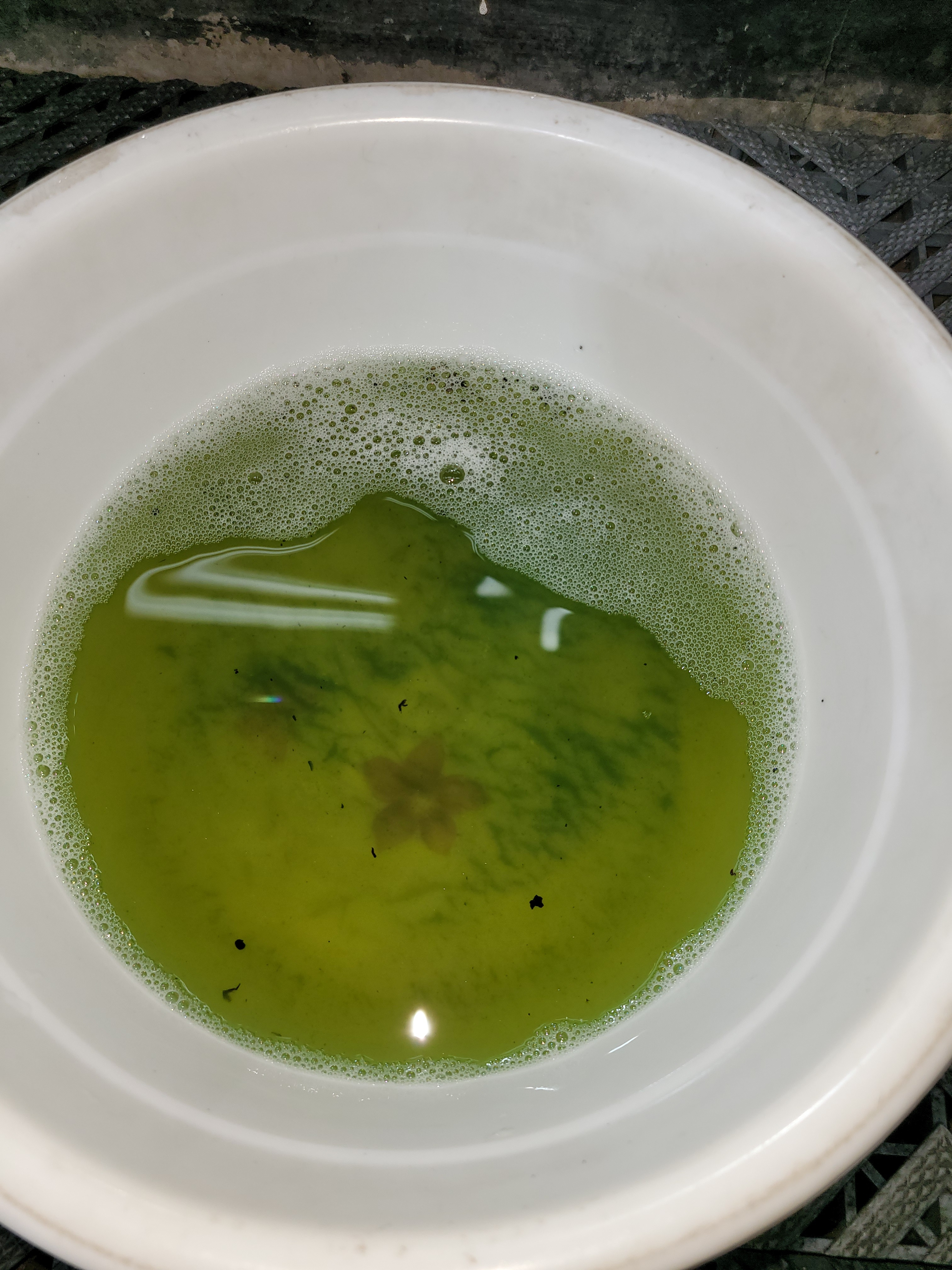 대성스팀세차 대표 이미지