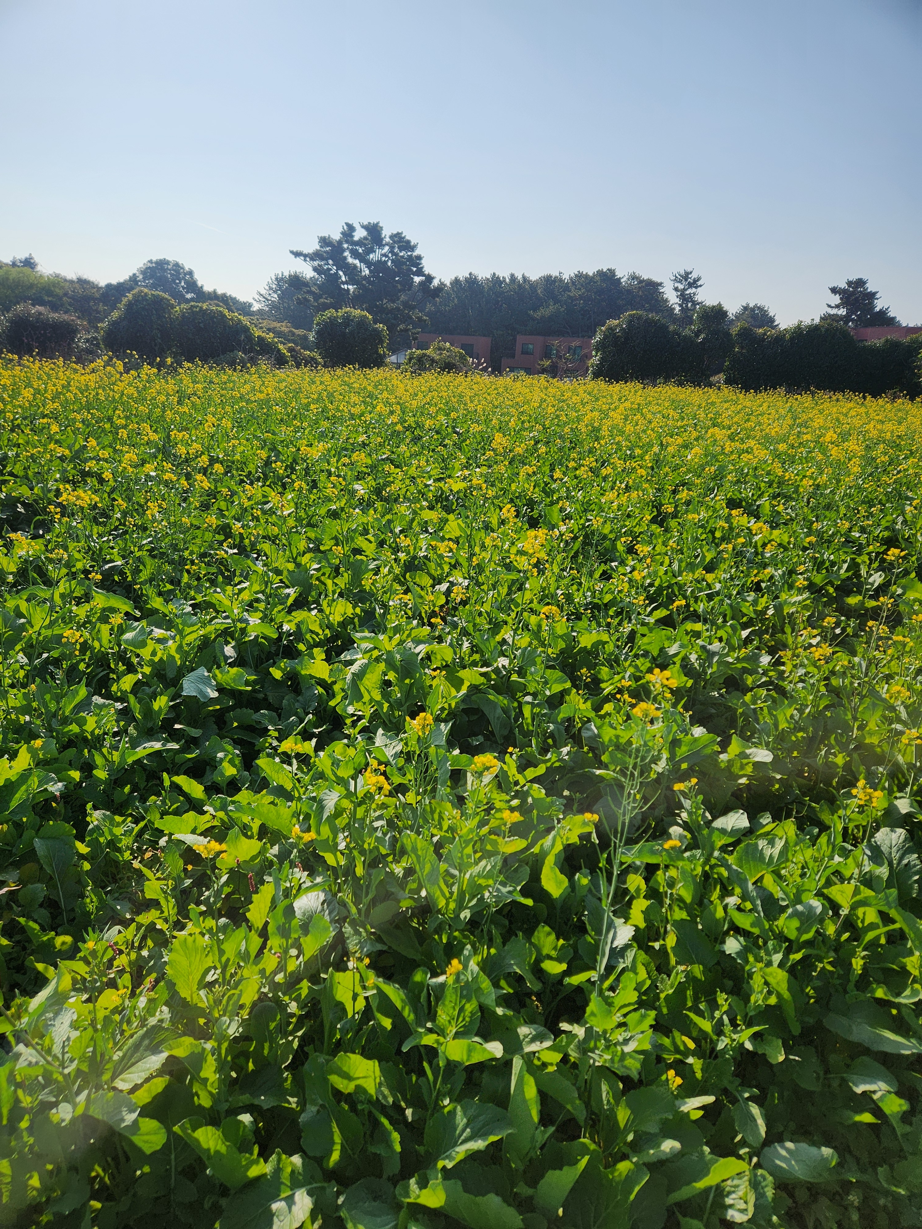 쉐프의메밀이야기