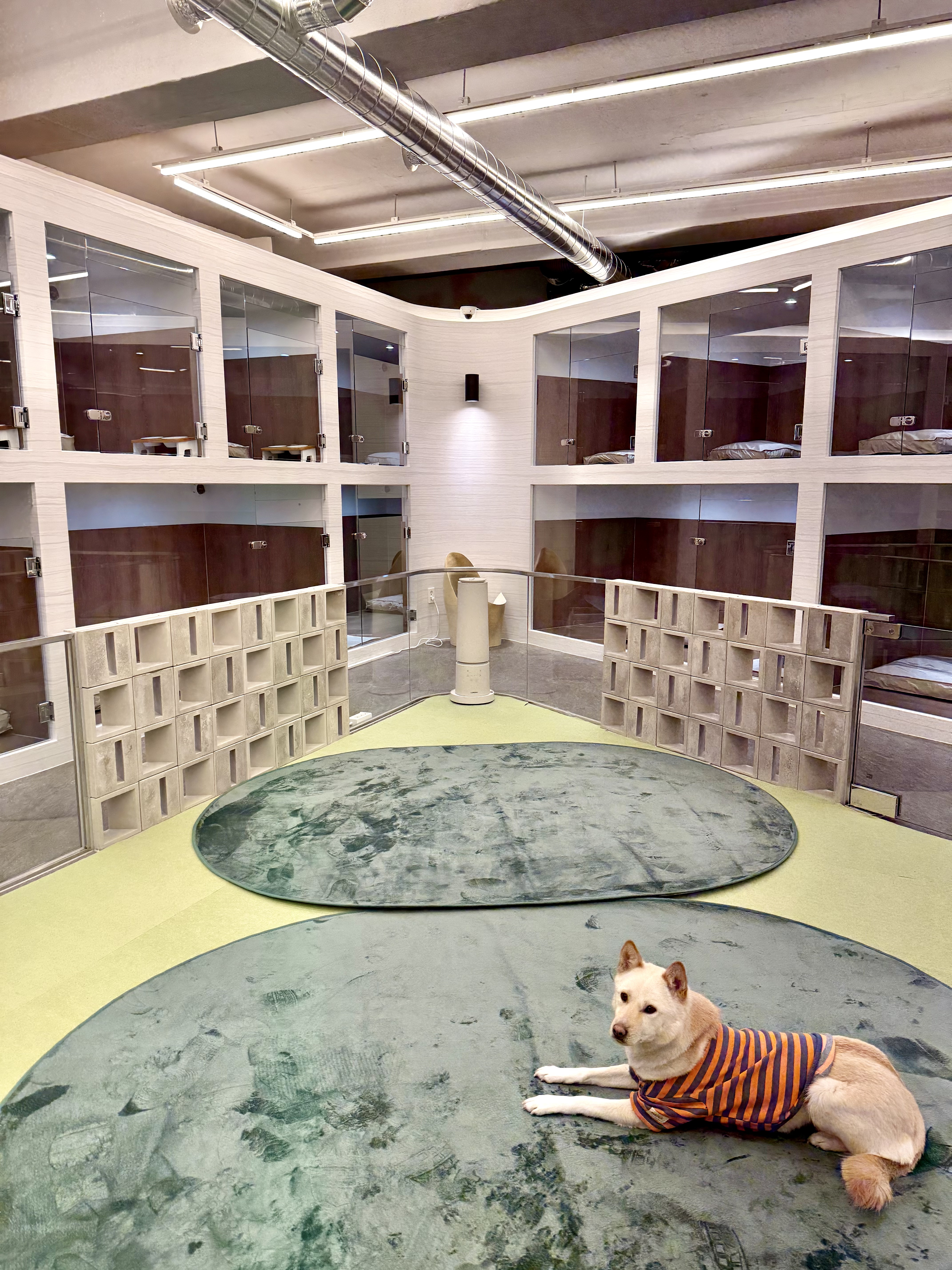 서울테일즈 대표 이미지