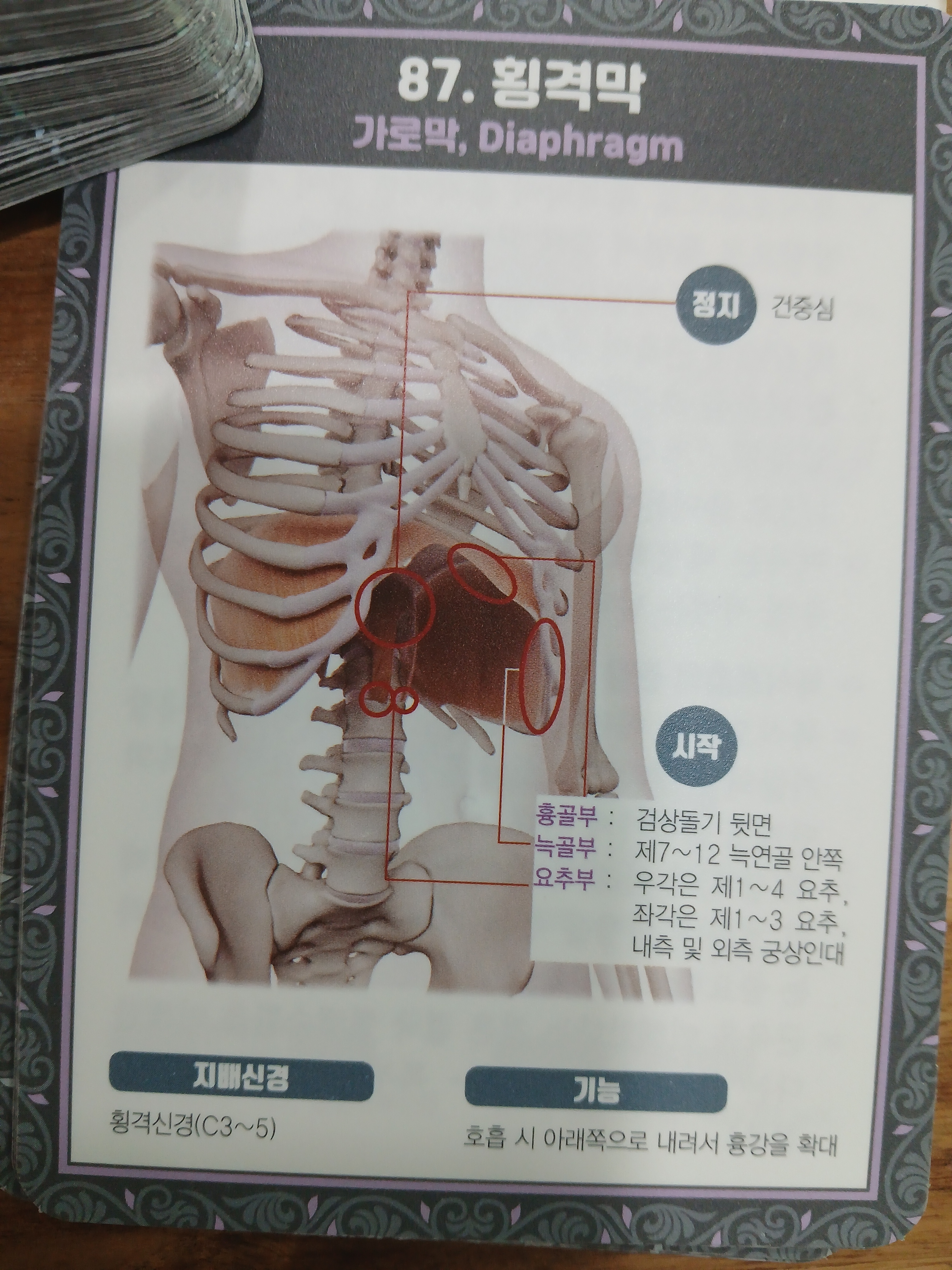 수 에스테틱 대표 이미지