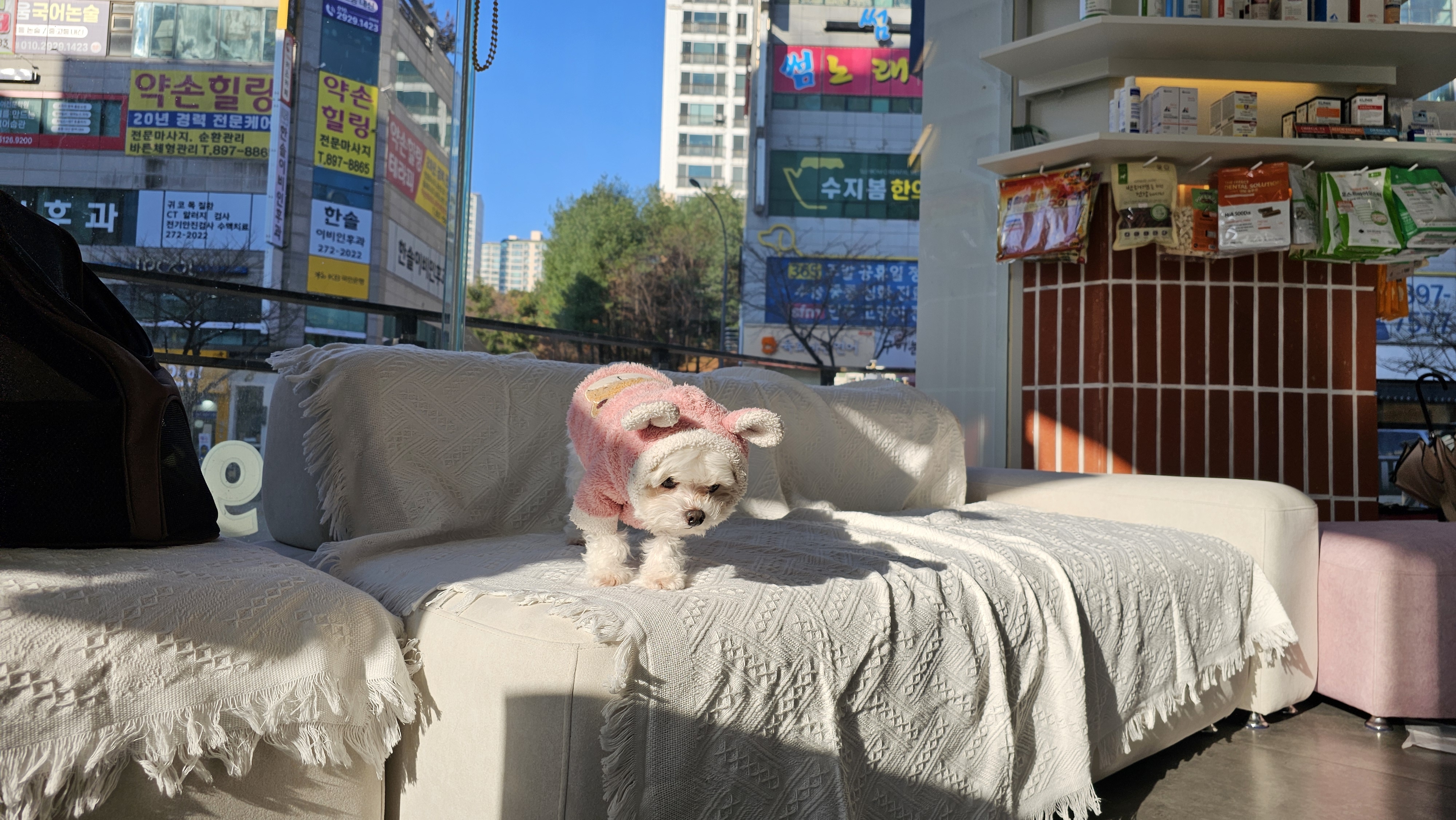 다나은 대표 이미지