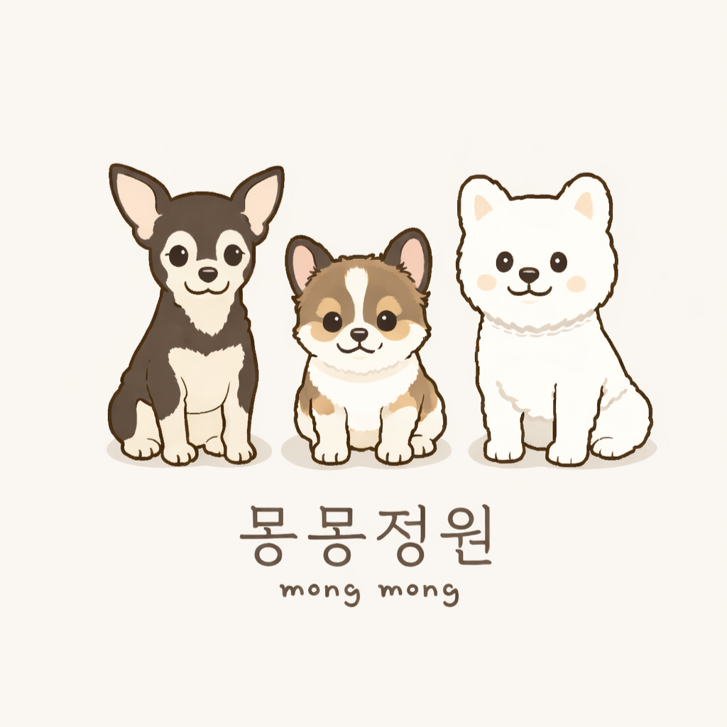 몽몽정원 3